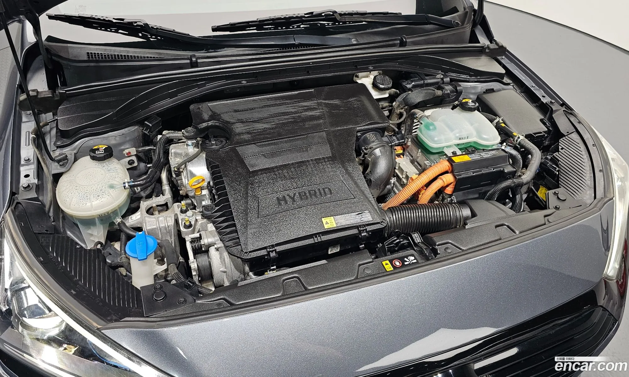 Hyundai Ioniq Ioniq Q 2017 - фотография 12083325