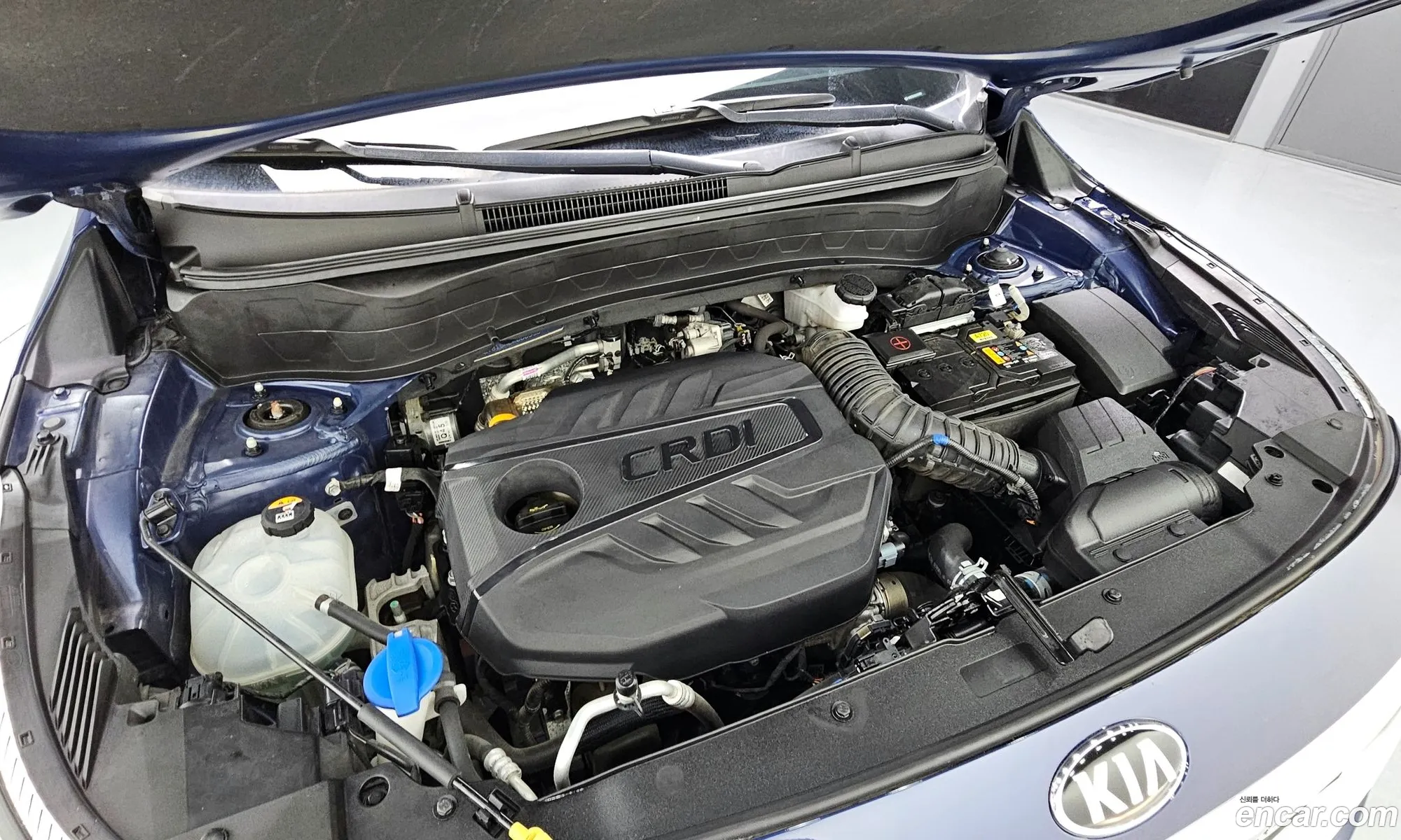 Kia Seltos I Diesel 16 4Wd 2020 - фотография 11951614