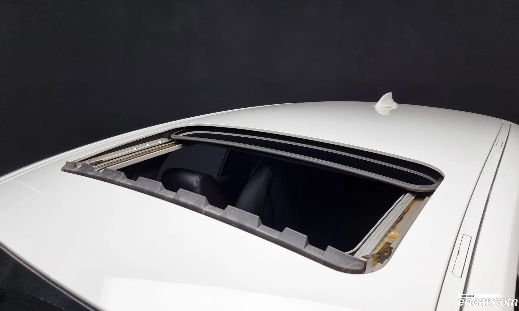 Korex Auto Trade - фотография 37712