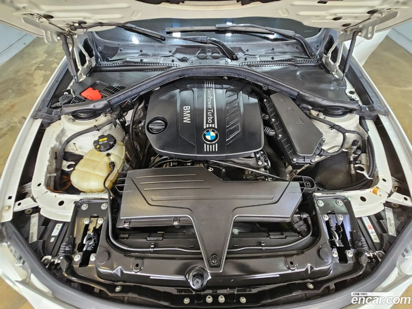 Korex Auto Trade - фотография 262573