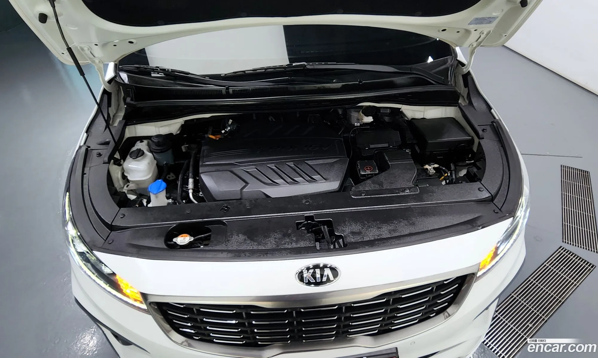 Kia The New Carnival 9-Seater High Limousine Prestige High Roof - фотография 16812258