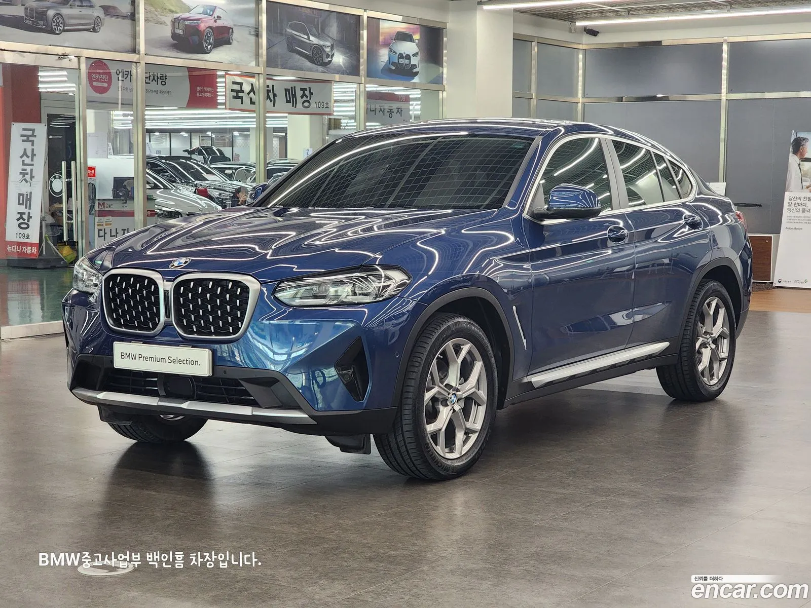 BMW X4 Ii G02 xDrive20I Xline 2022 - фотография 15101007