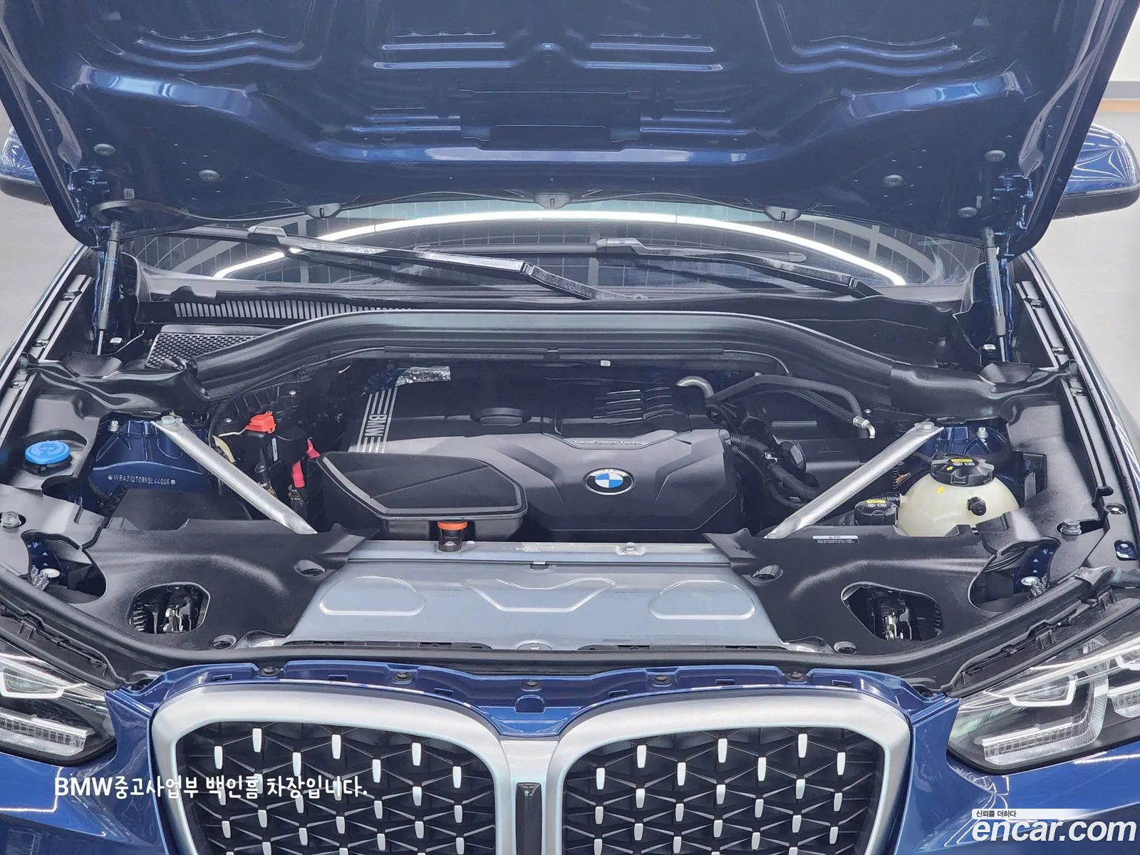 BMW X4 Ii G02 xDrive20I Xline 2022 - фотография 15101012