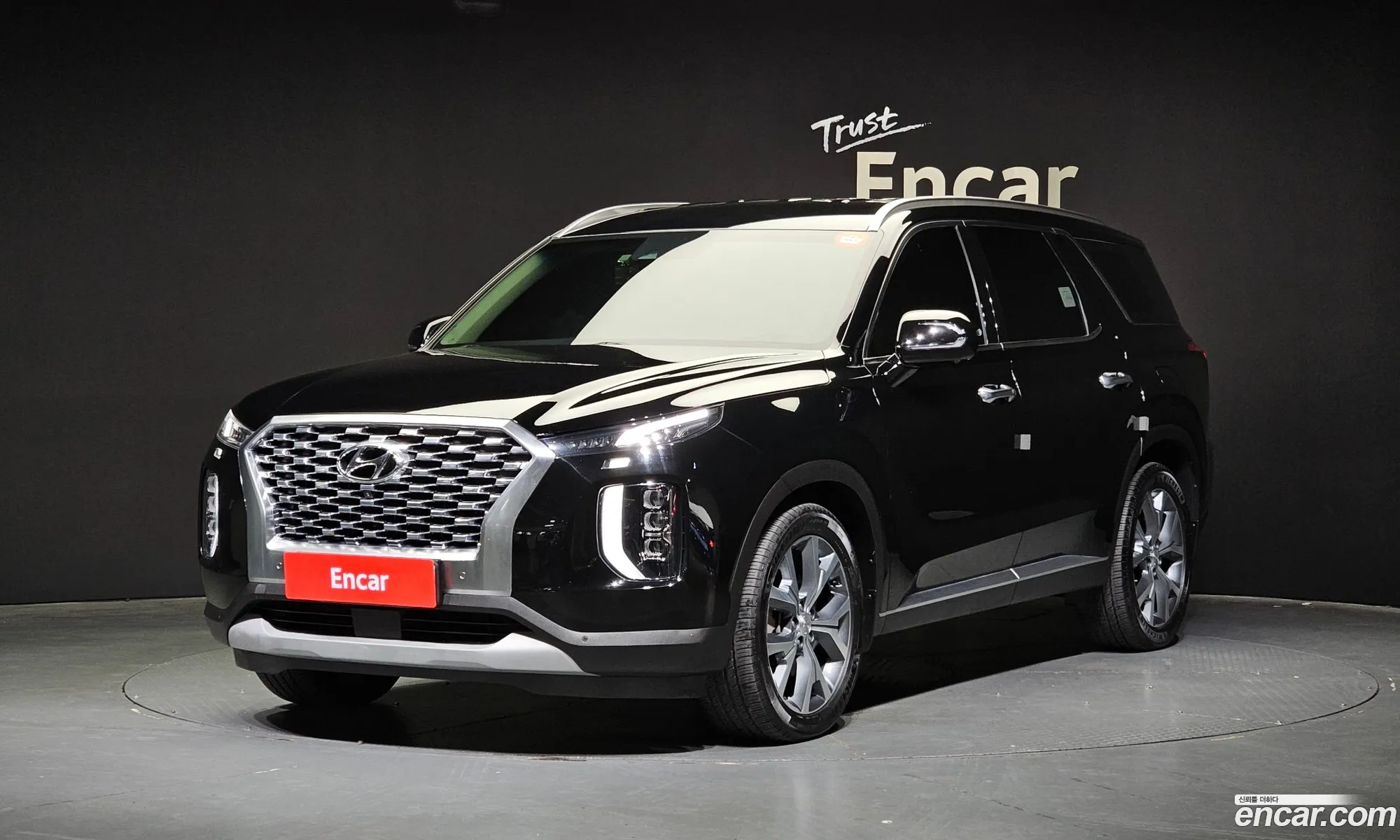 Hyundai Palisade I Gasoline 38 4Wd 2020 - фотография 12836174