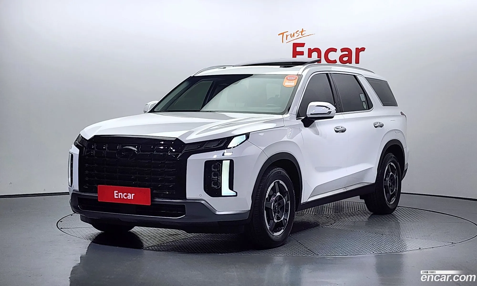 Hyundai Palisade Gasoline 38 4Wd 2023 - фотография 17259184