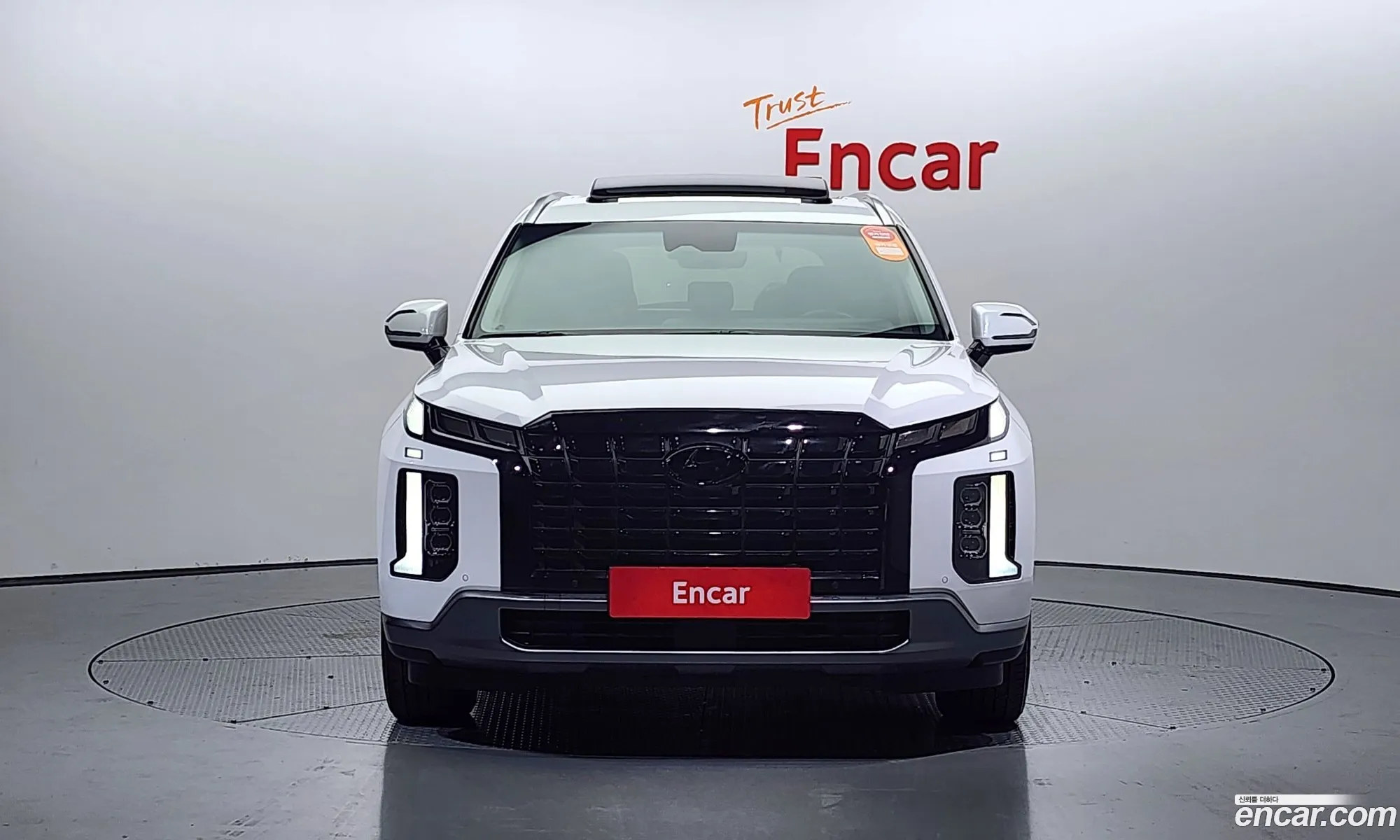 Hyundai Palisade Gasoline 38 4Wd 2023 - фотография 17259186