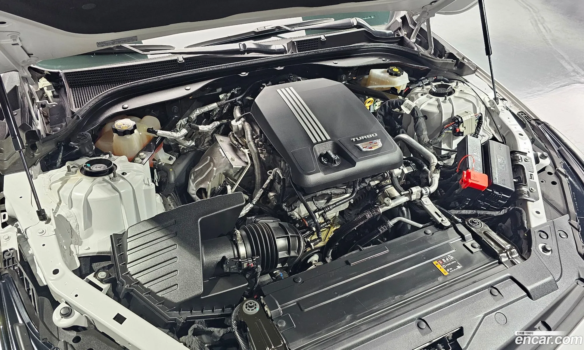 Cadillac Ct5 I 20 Premium Luxury 2020 - фотография 3742555