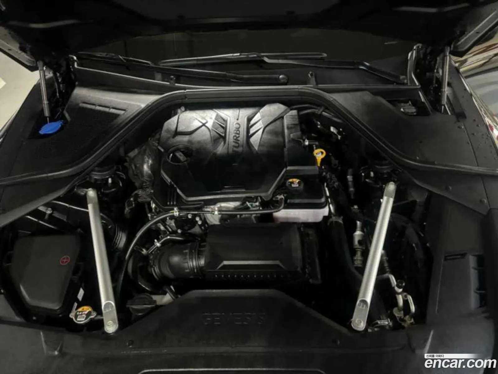 Korex Auto Trade - фотография 16326117