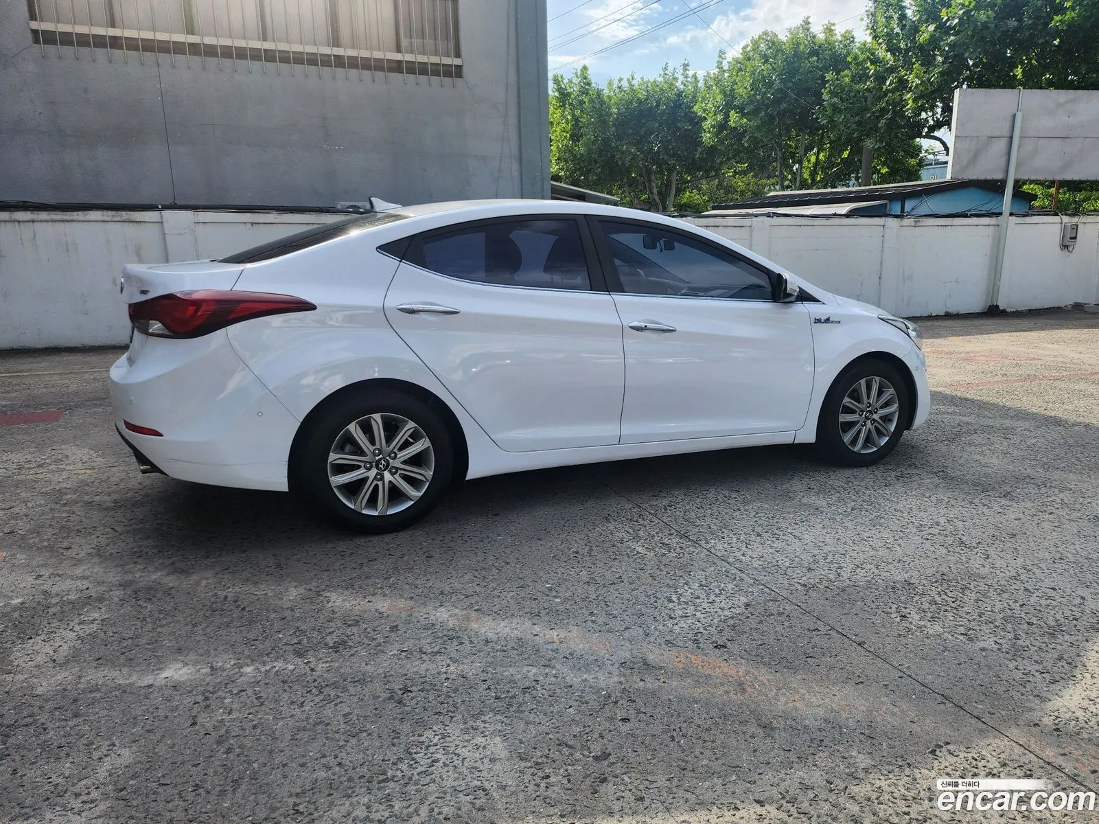 Korex Auto Trade - фотография 15894954