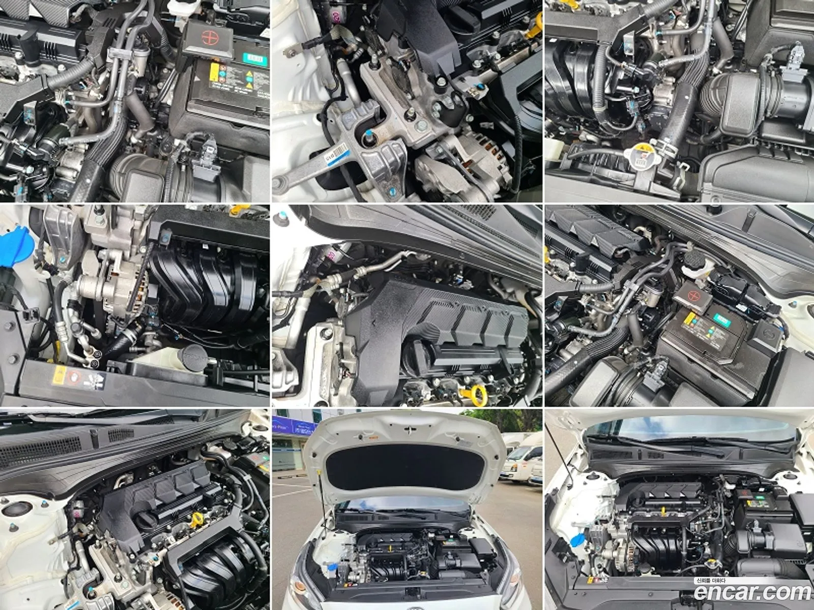 Korex Auto Trade - фотография 17531154