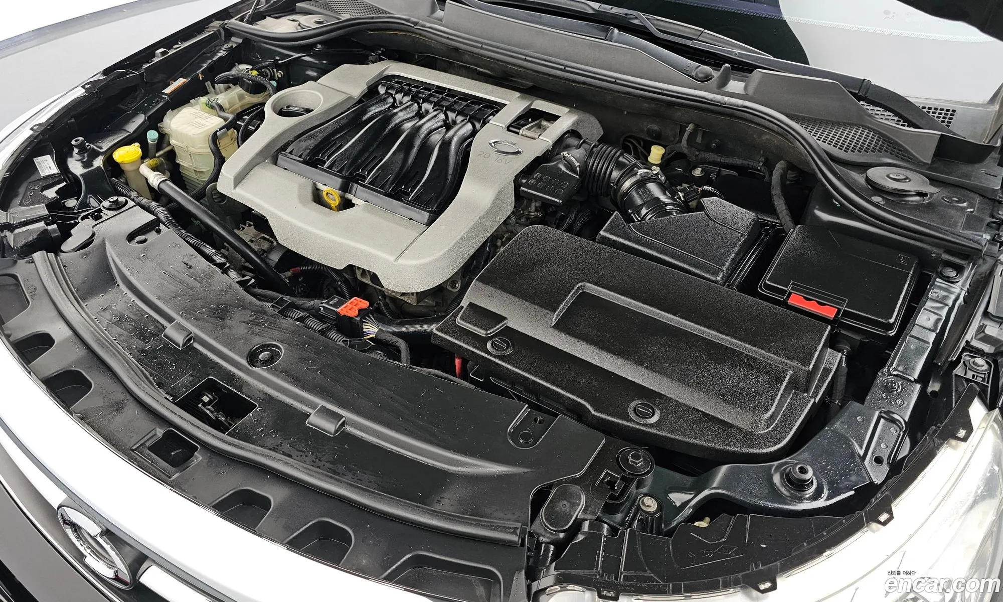 Renault Samsung Sm5 Ii Le 2010 - фотография 4051953