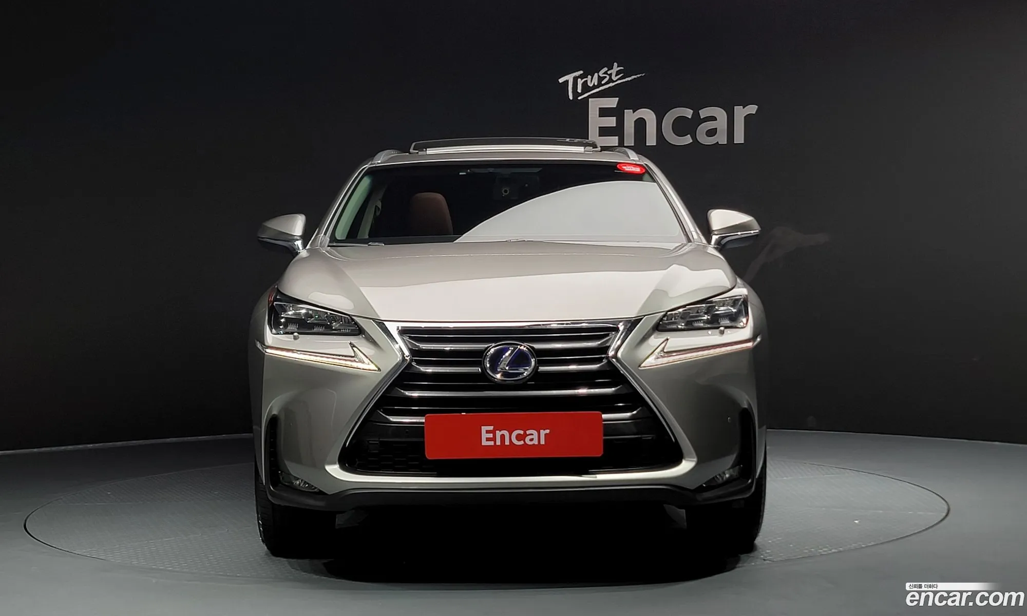 Lexus Nx300H Supreme - фотография 3710801