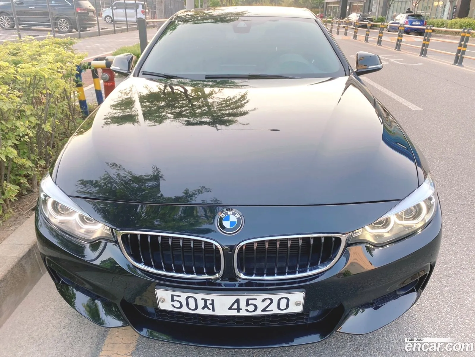 BMW 4Er F32F33F36 420D M Sports Coupe 2018 - фотография 7412
