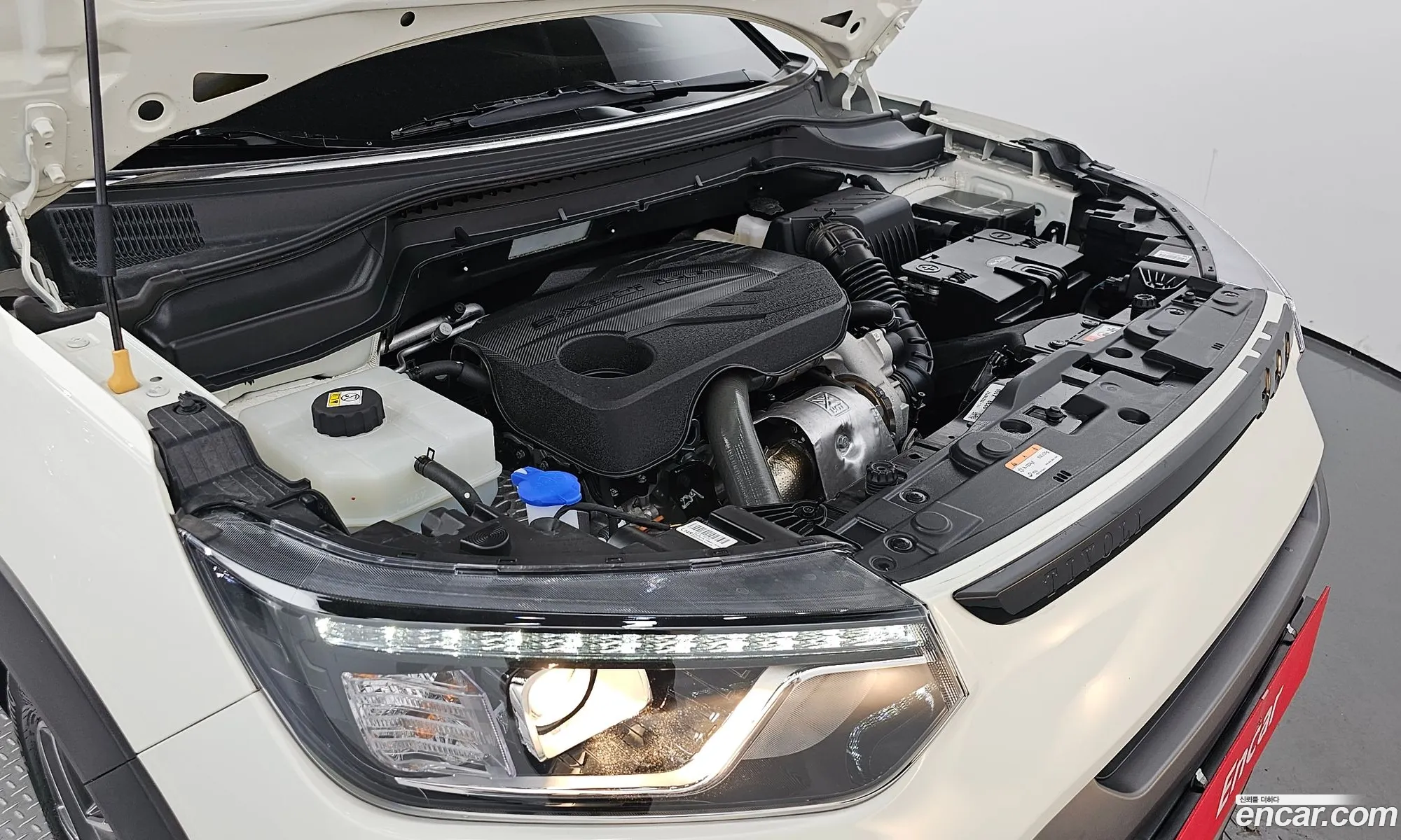 Korex Auto Trade - фотография 5463206