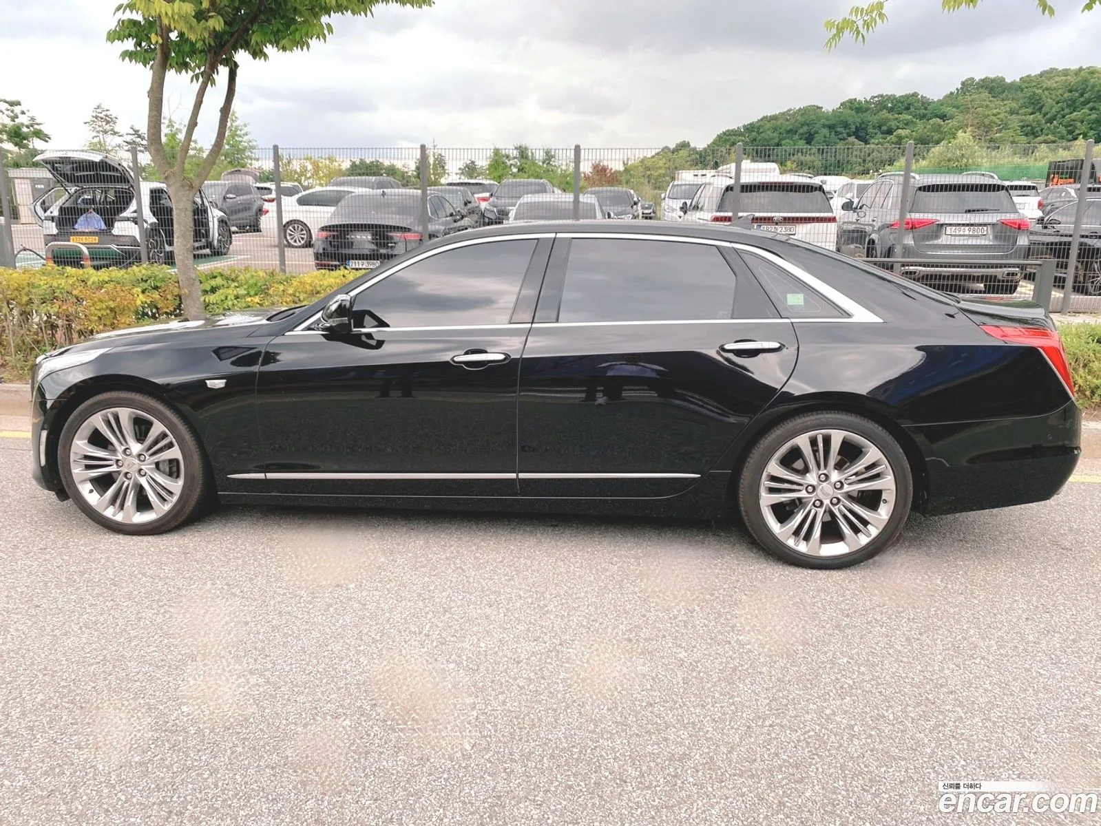 Cadillac Ct6 36 Platinum Awd 2016 - фотография 3742043