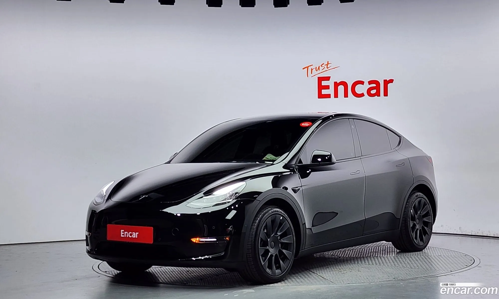 Tesla Model Y I Long Range 2022 - фотография 14605861
