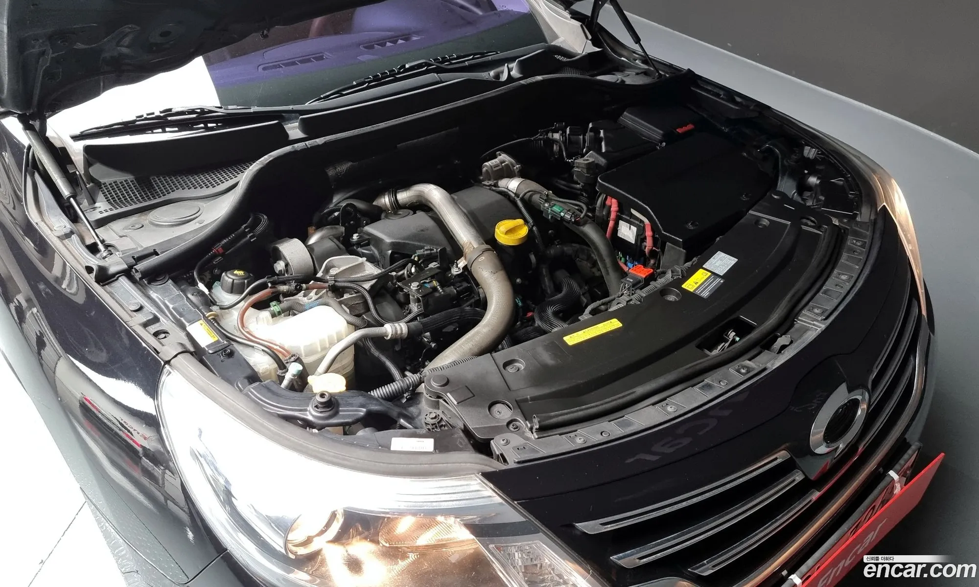 Renault Korea Samsung Sm5 Nova Diesel D - фотография 10984586