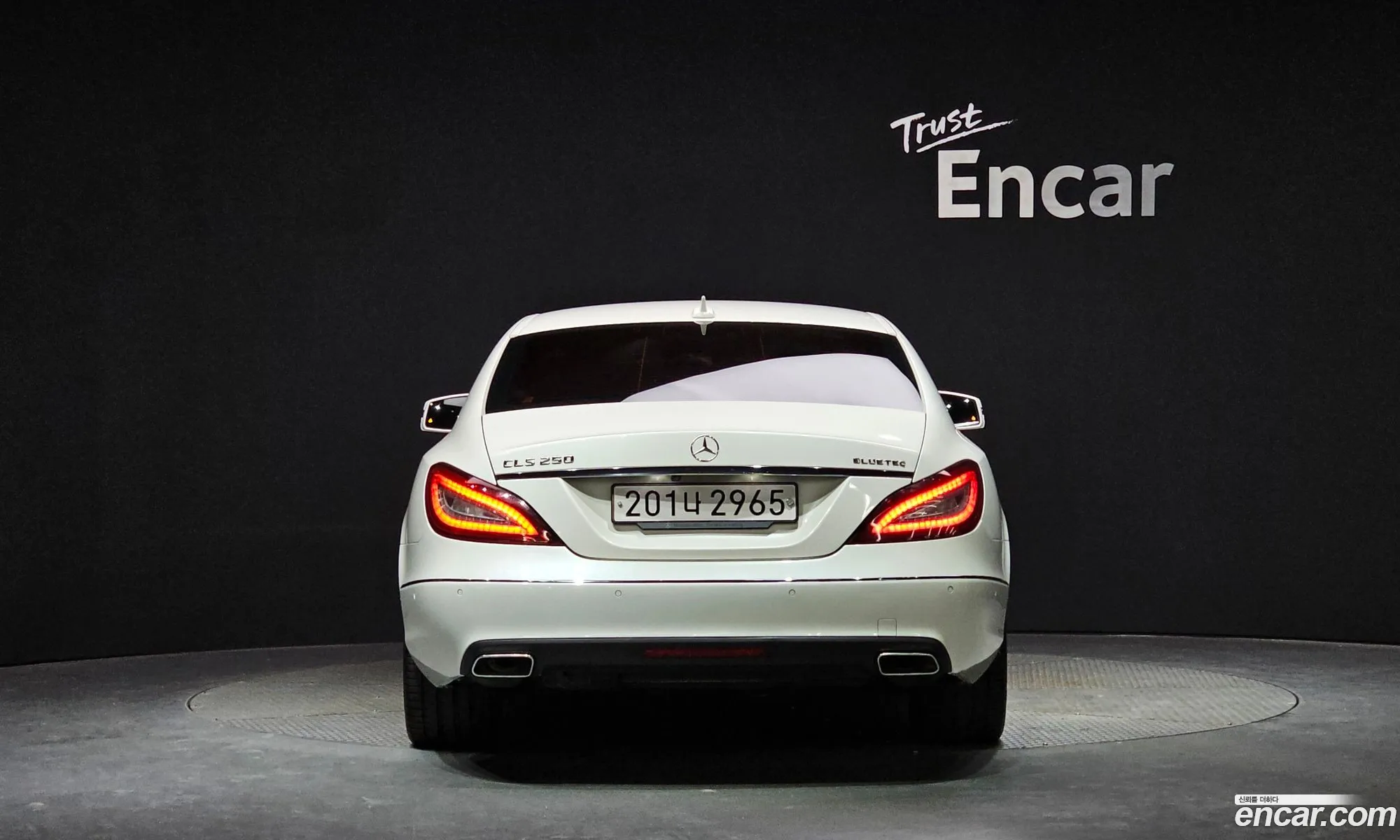 Mercedes Cls-Class W218 Cls250 Bluetech 4Matic - фотография 13663603