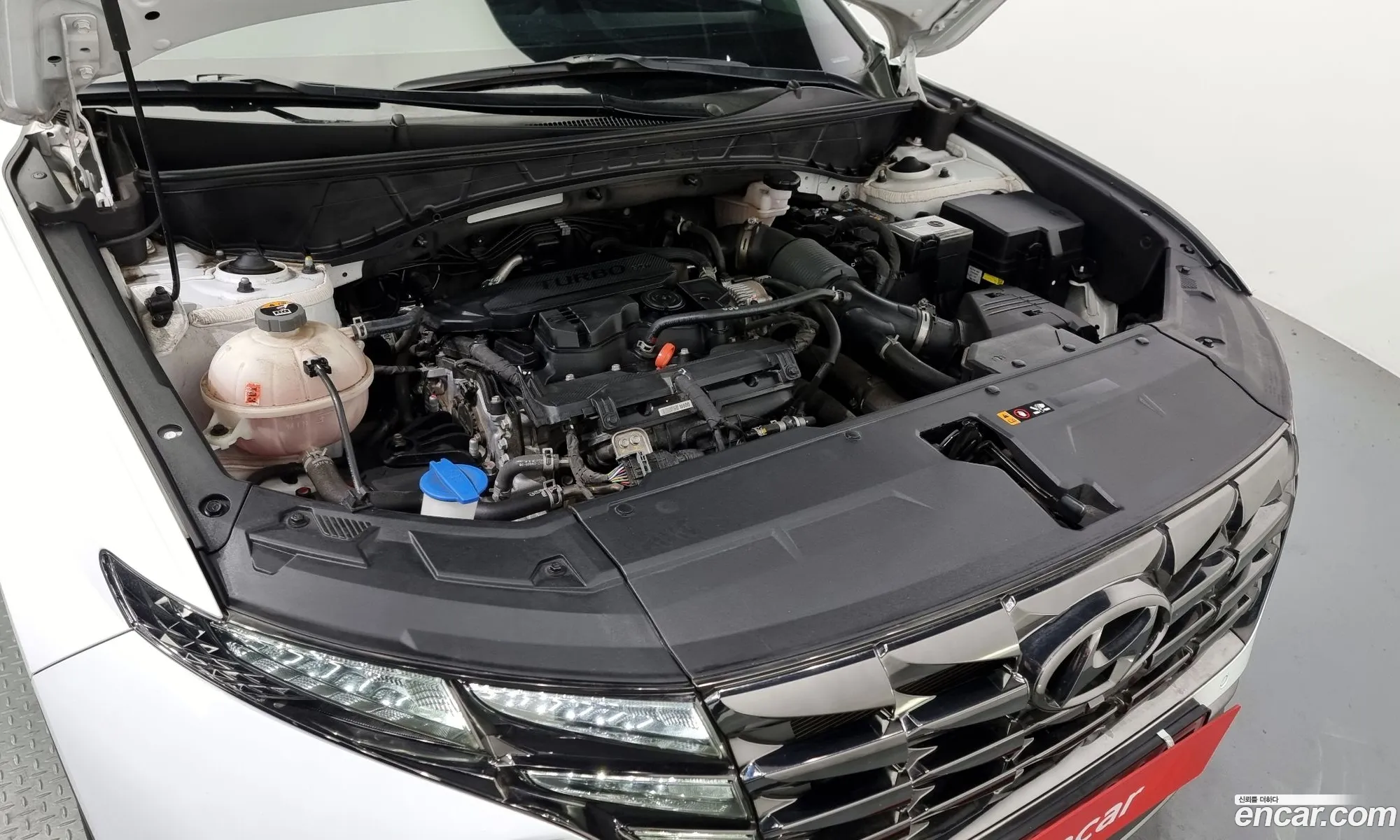 Hyundai Tucson Iv Gasoline 16 Turbo 2Wd 2022 - фотография 15088604