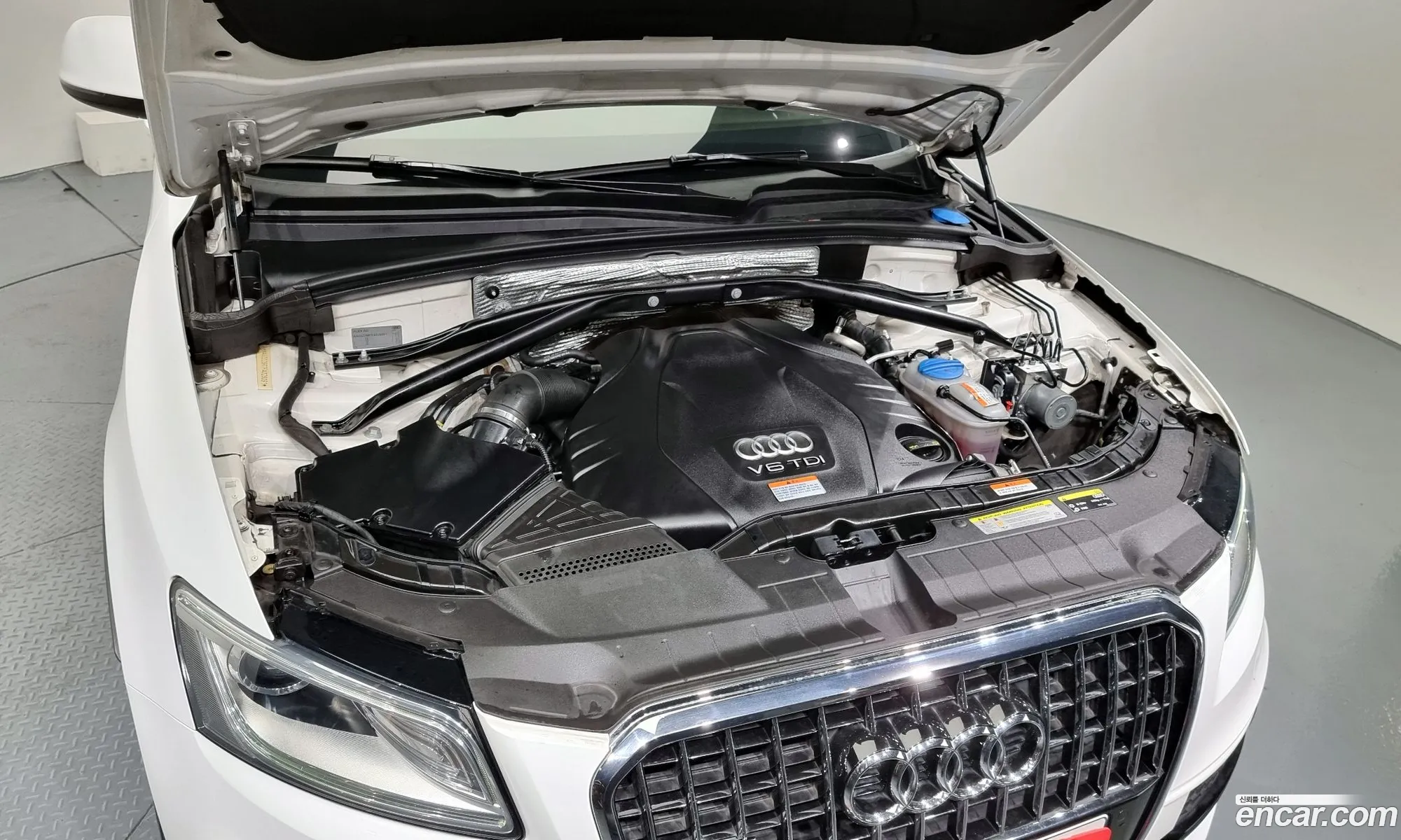 Audi Q5 I 8R 45 Tdi Quattro Dynamic 2015 - фотография 668038