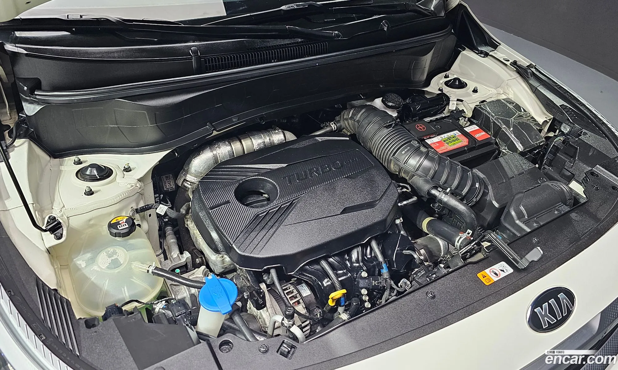Kia Seltos I Gasoline 16 Turbo 2Wd 2020 - фотография 19874249