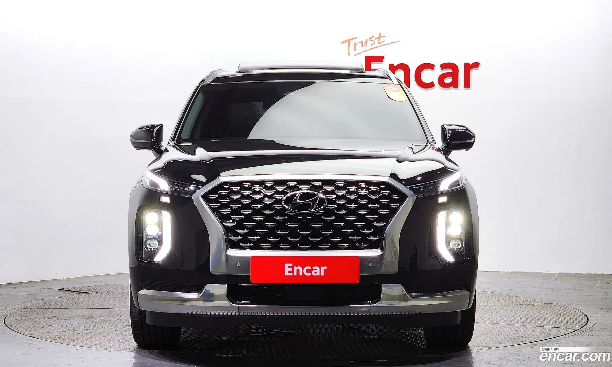 Hyundai Palisade Gasoline 38 4Wd Calligraphy - фотография 19033454