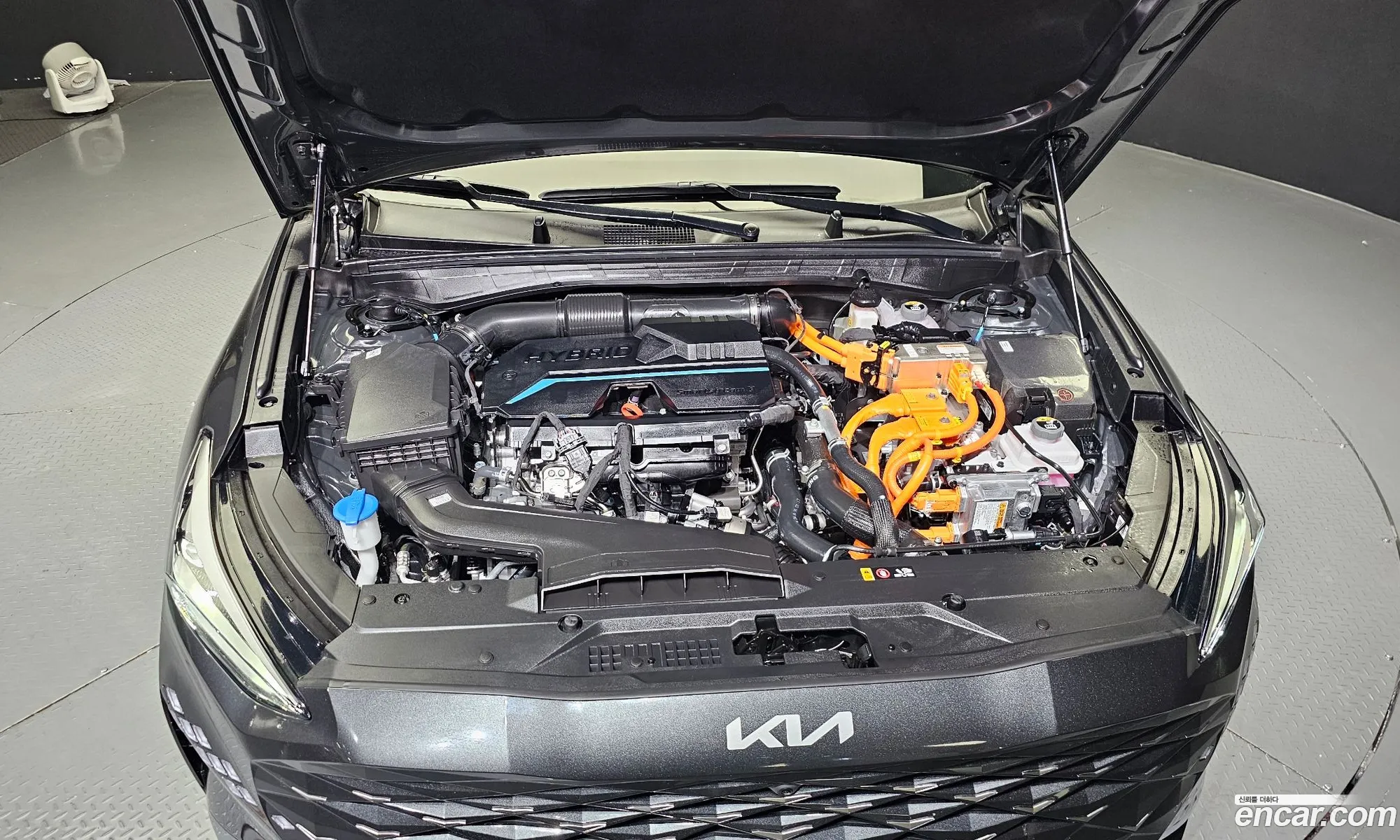 Kia K8 Signature Special 2024 - фотография 11408855
