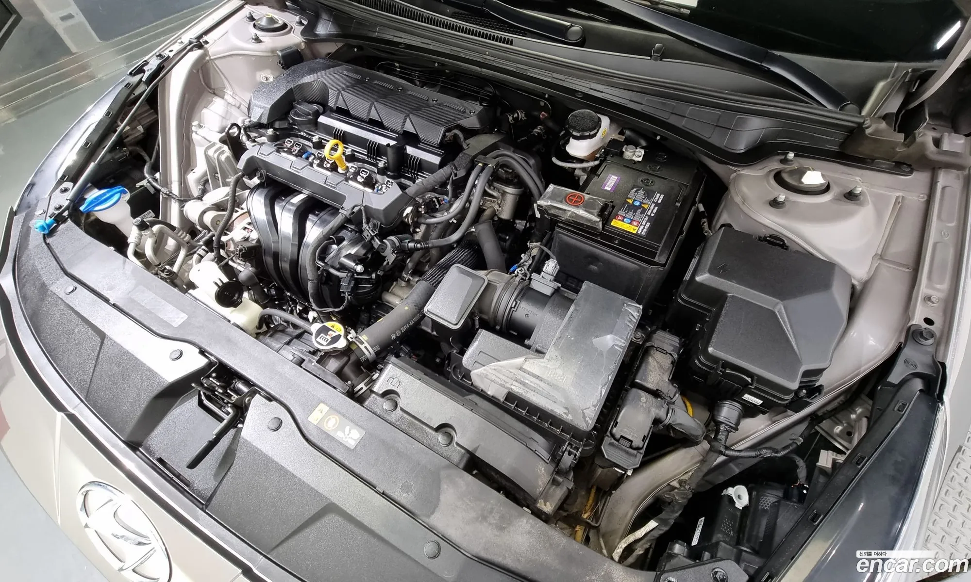 Hyundai Avante Vi 16 2021 - фотография 15991887