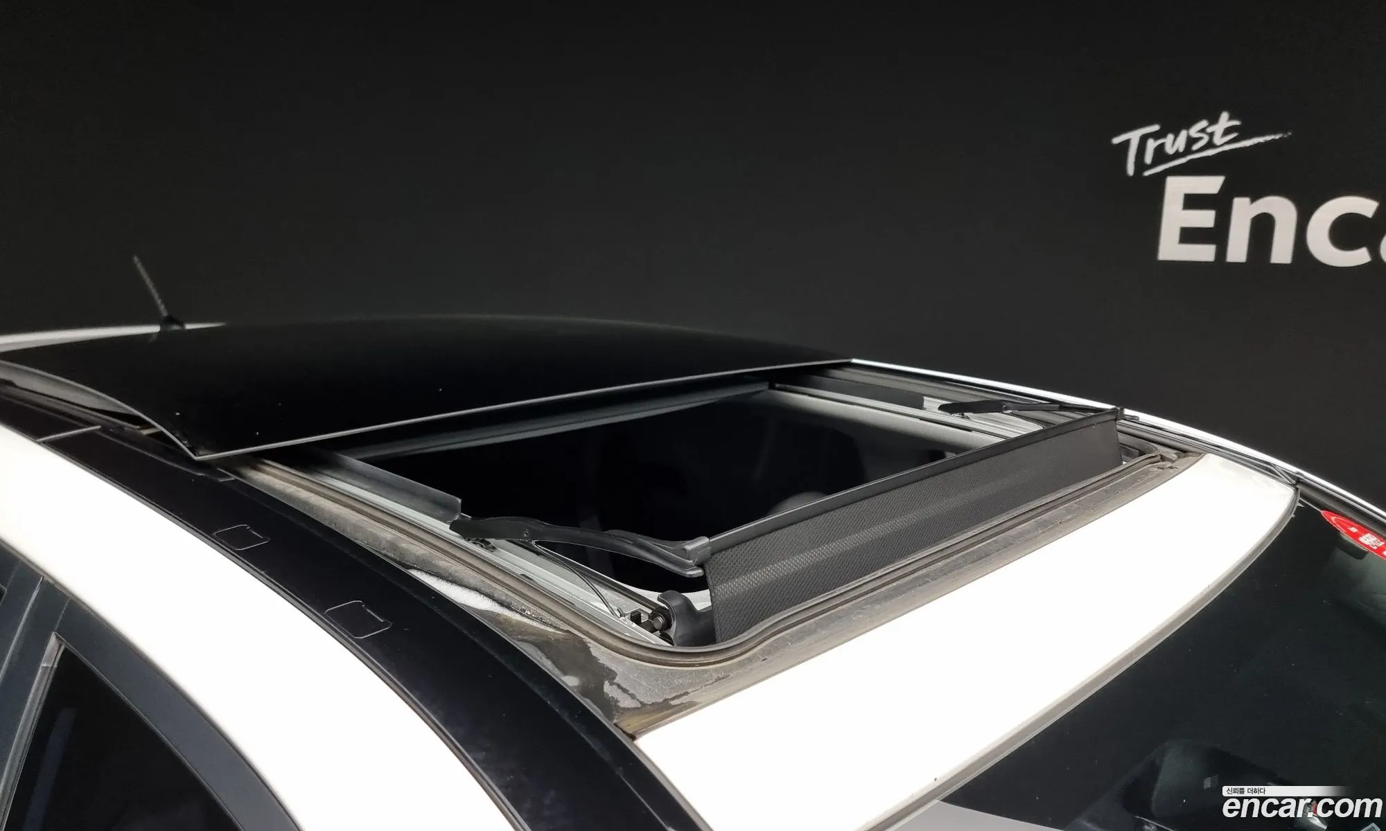 Korex Auto Trade - фотография 19017863