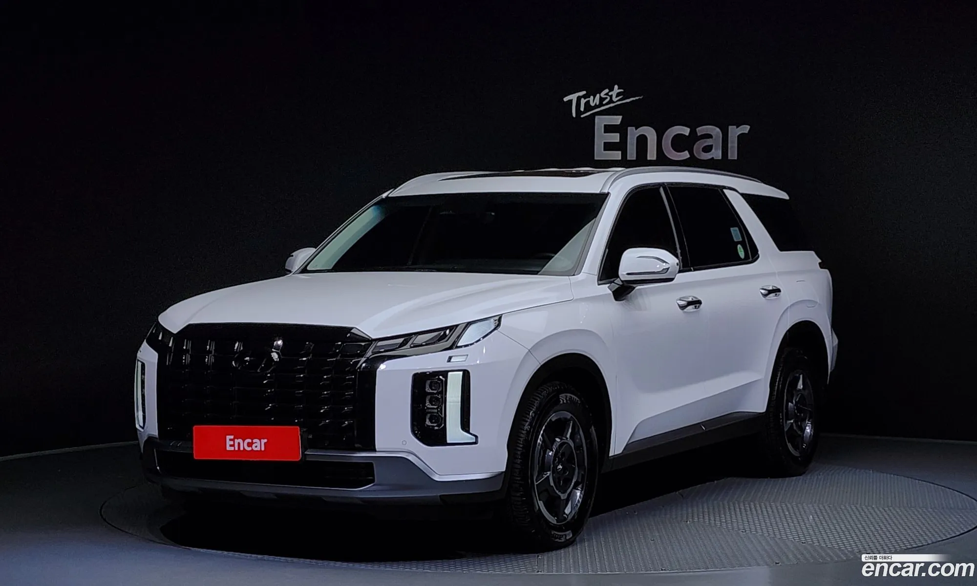 Hyundai Palisade Gasoline 38 4Wd 2023 - фотография 12734882