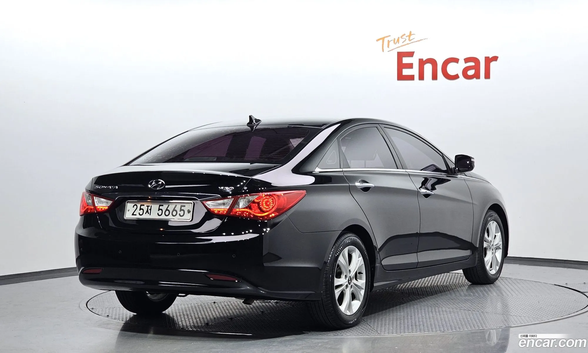 Hyundai Sonata Lpi Premier For The Disabled 2012 - фотография 12126131