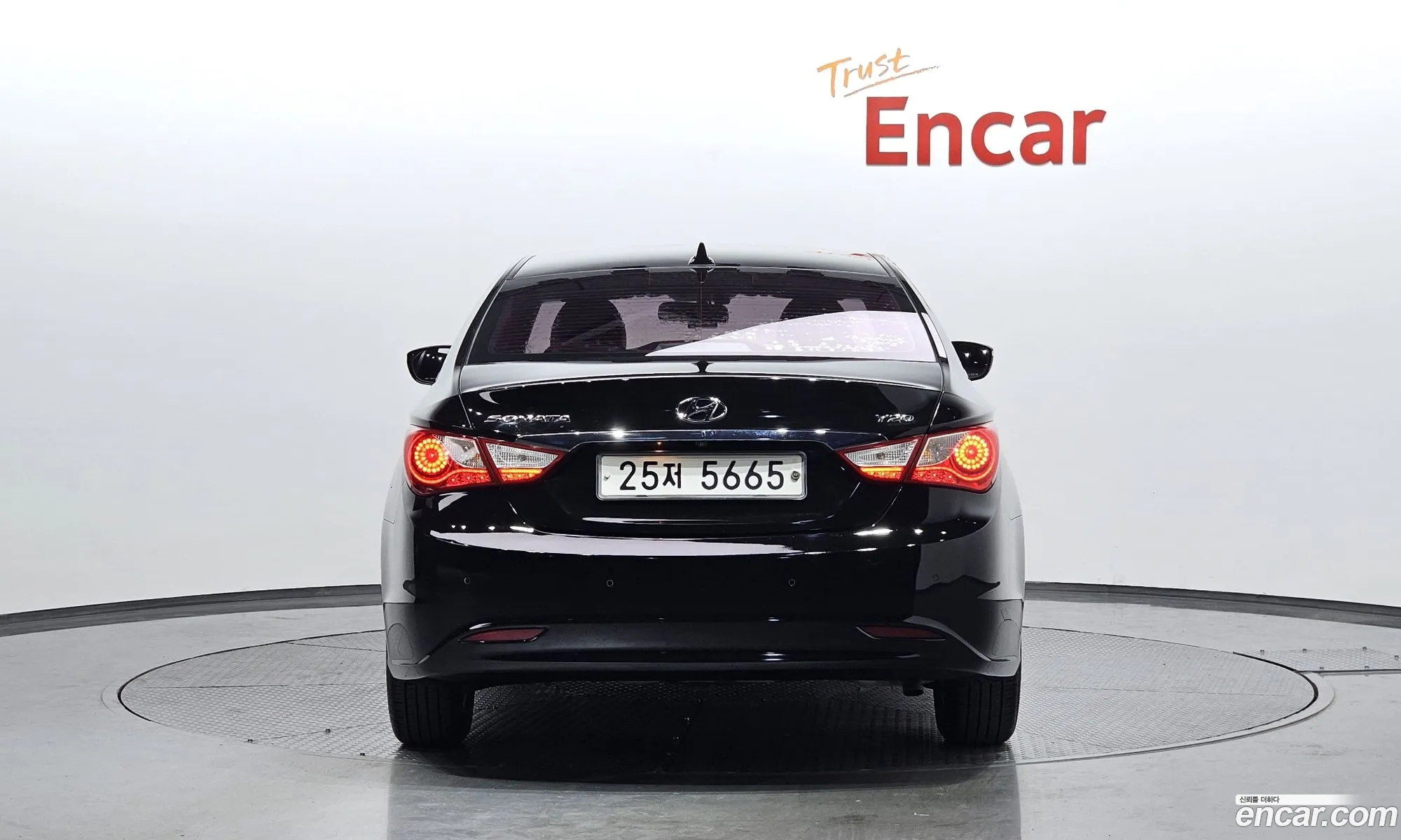 Hyundai Sonata Lpi Premier For The Disabled 2012 - фотография 12126135