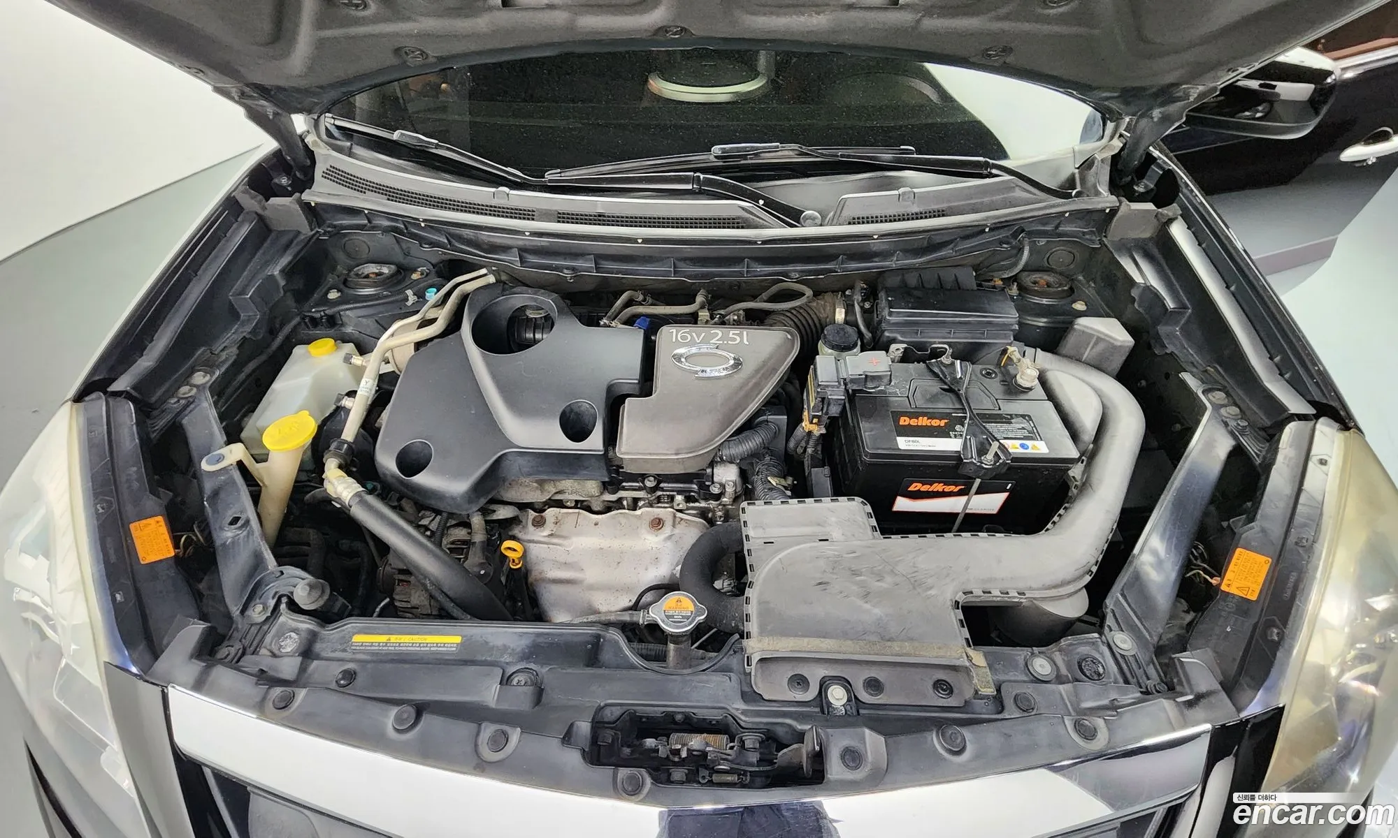 Renault Samsung Qm5 Qm5 Gasoline 2Wd City Re25 2009 - фотография 10761242