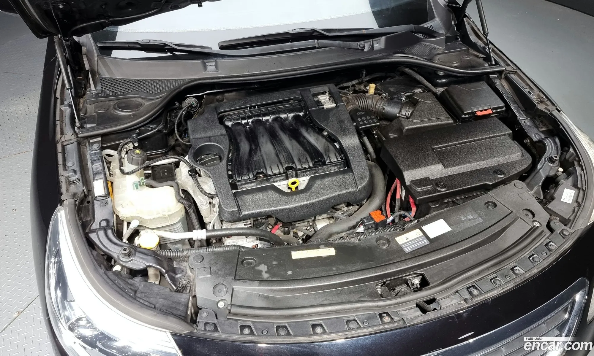 Renault Samsung Sm5 Se 2014 - фотография 3319072