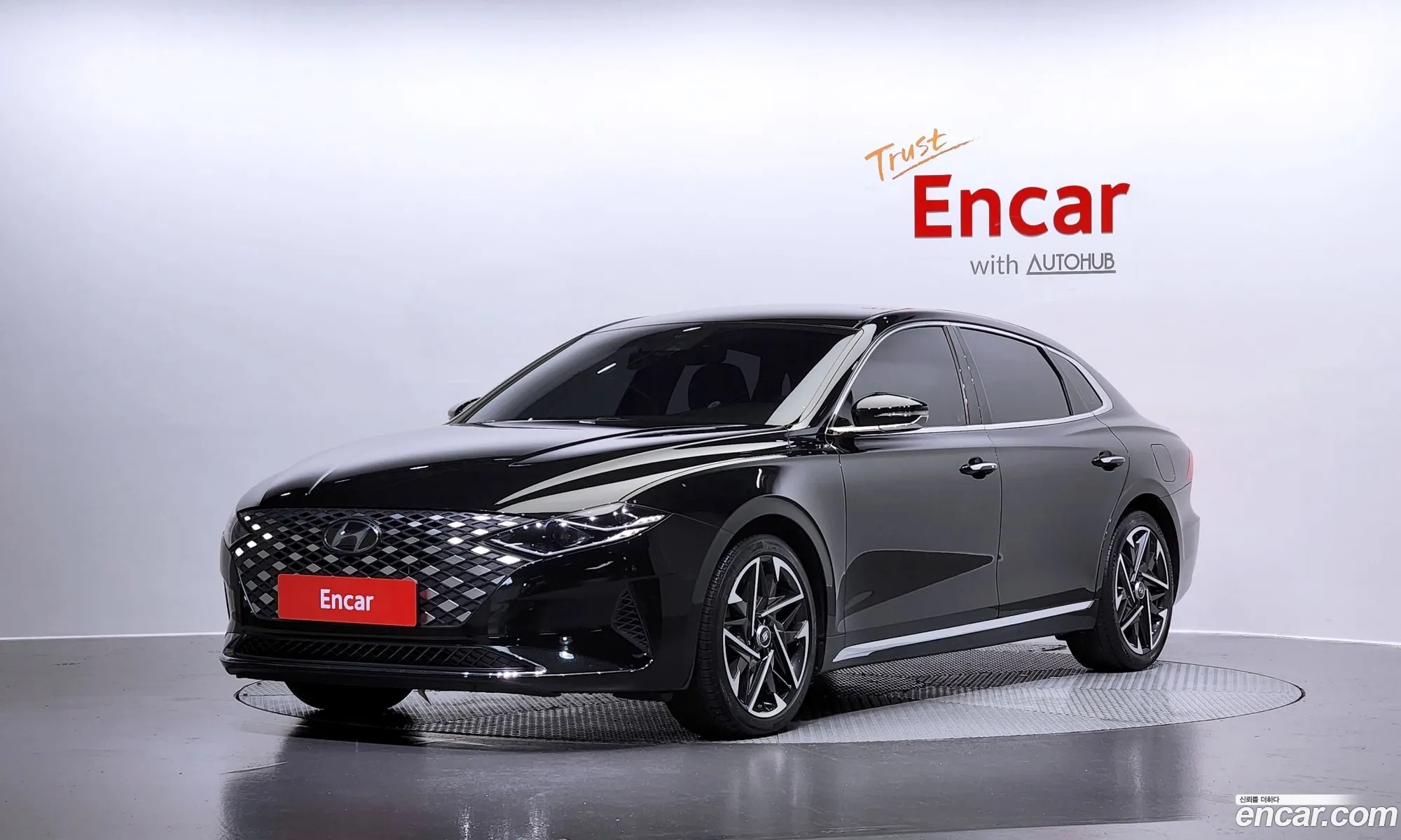 Hyundai The New Grandeur Ig 33 Premium Choice - фотография 12530557