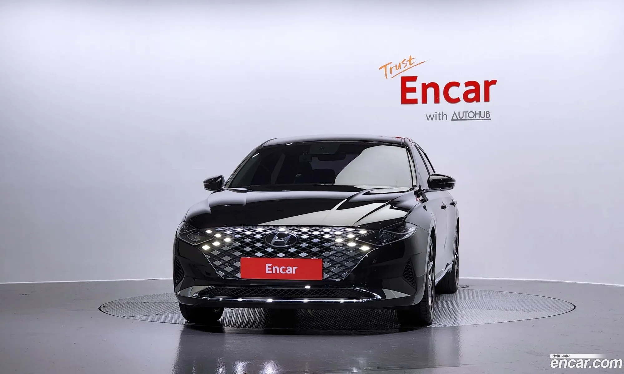 Hyundai The New Grandeur Ig 33 Premium Choice - фотография 12530560