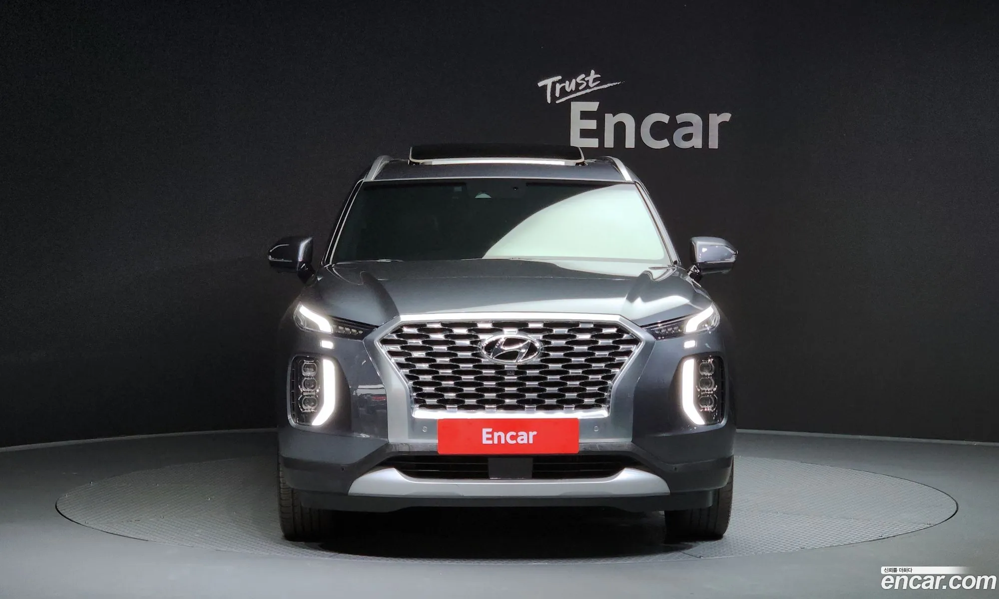 Hyundai Palisade I Diesel 22 2Wd 2022 - фотография 12563953