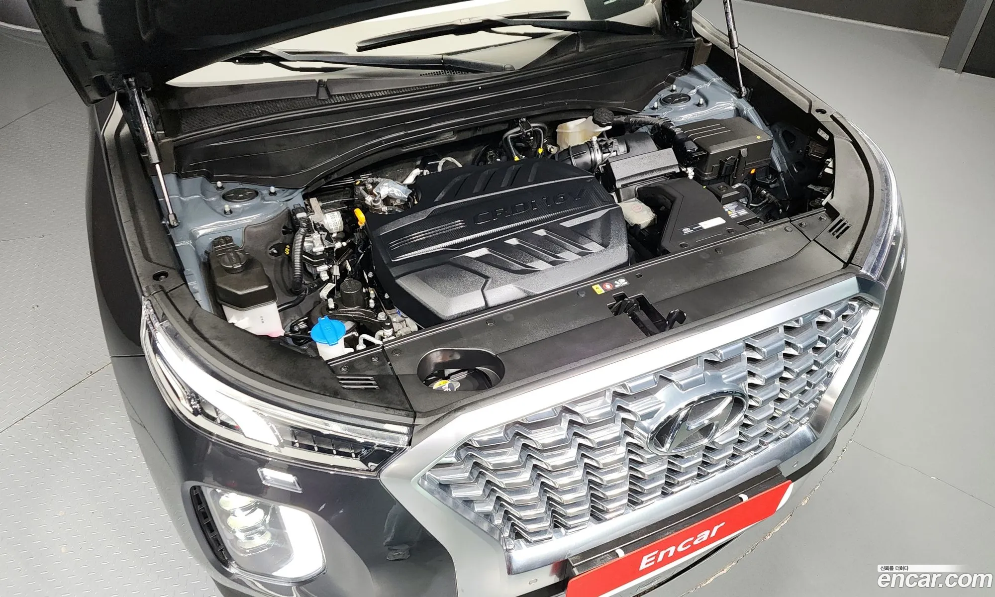 Hyundai Palisade I Diesel 22 2Wd 2022 - фотография 12563956