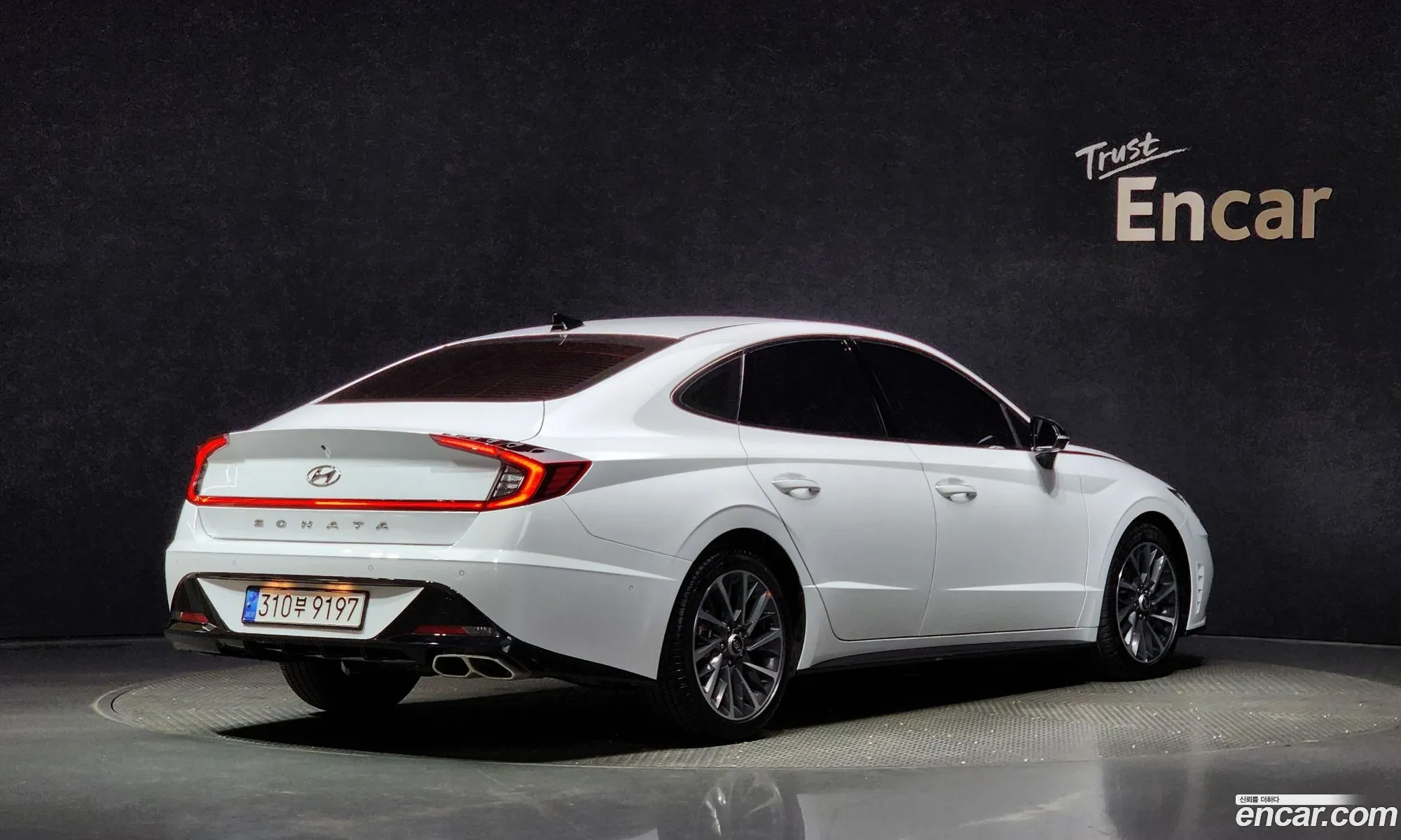 Hyundai Sonata 16 Turbo 2023 - фотография 19245664