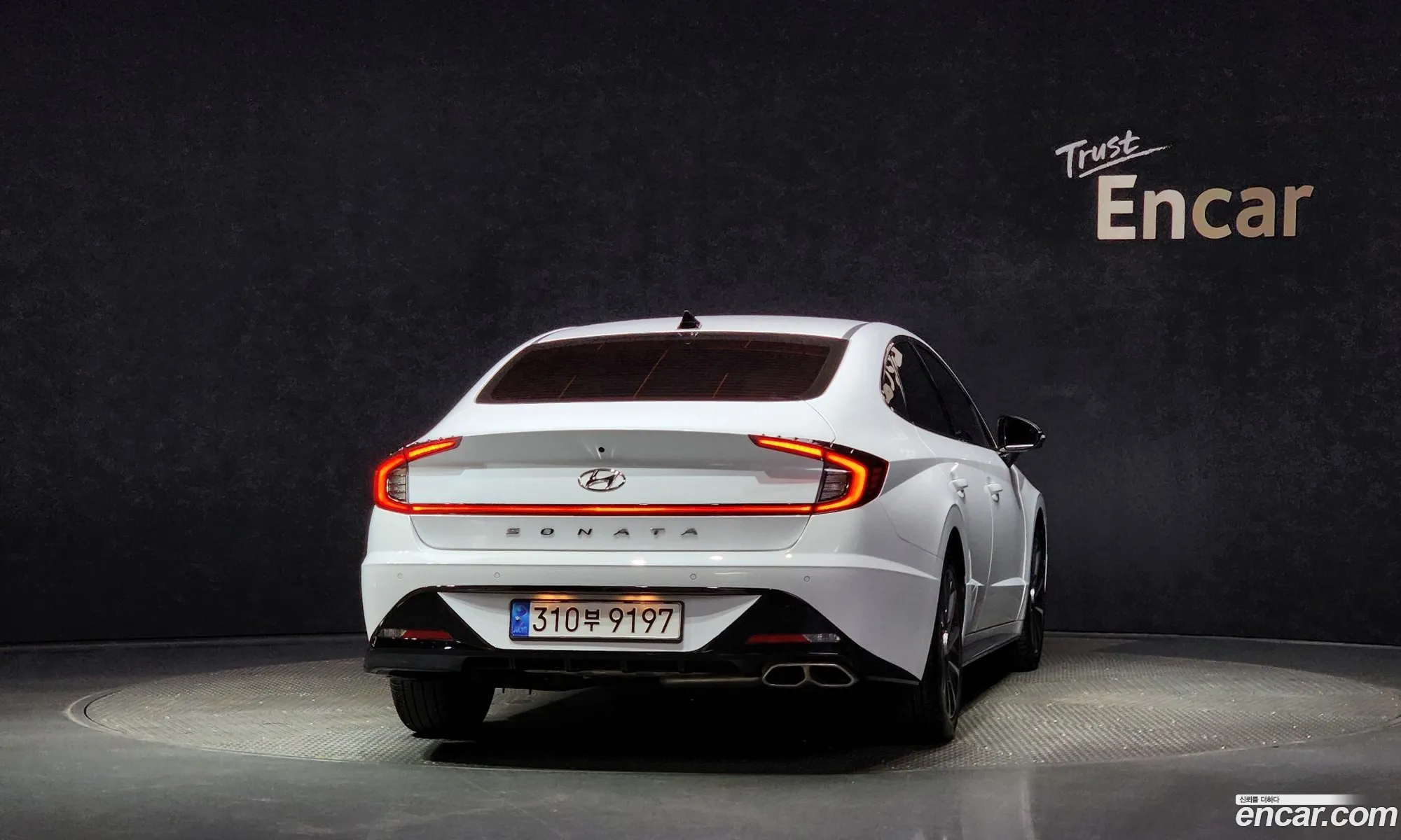 Hyundai Sonata 16 Turbo 2023 - фотография 19245666