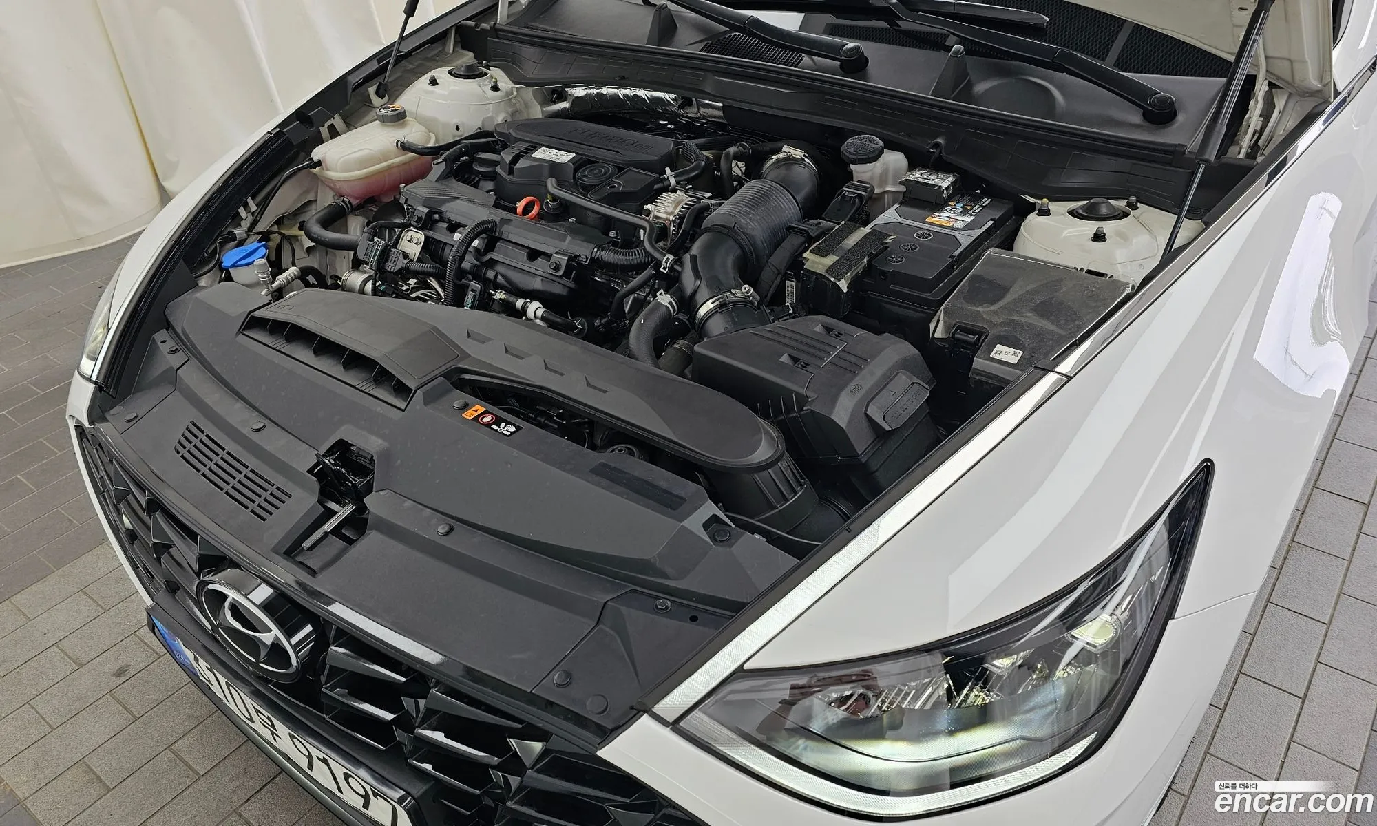 Hyundai Sonata 16 Turbo 2023 - фотография 19245668