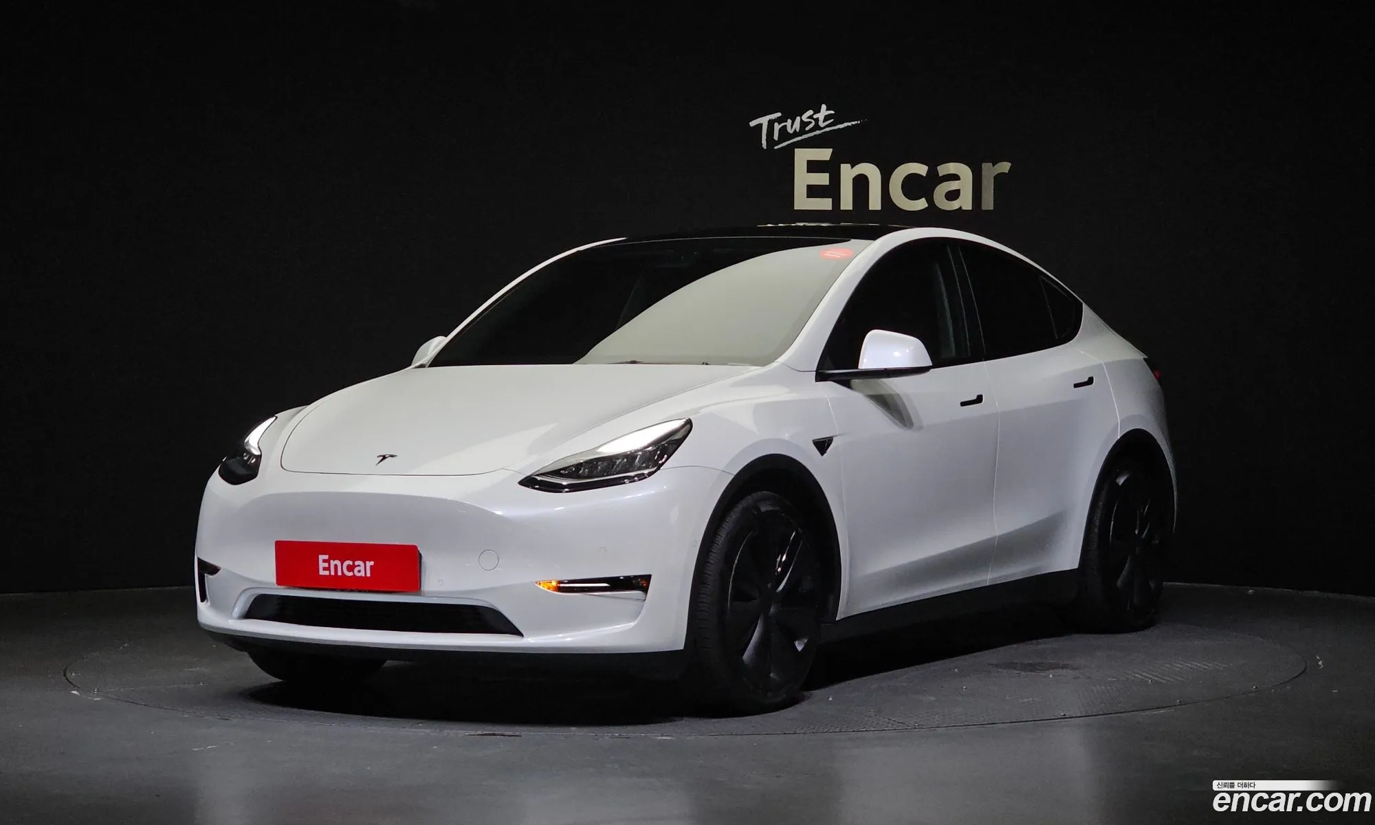 Tesla Model Y I Long Range 2021 - фотография 3514628