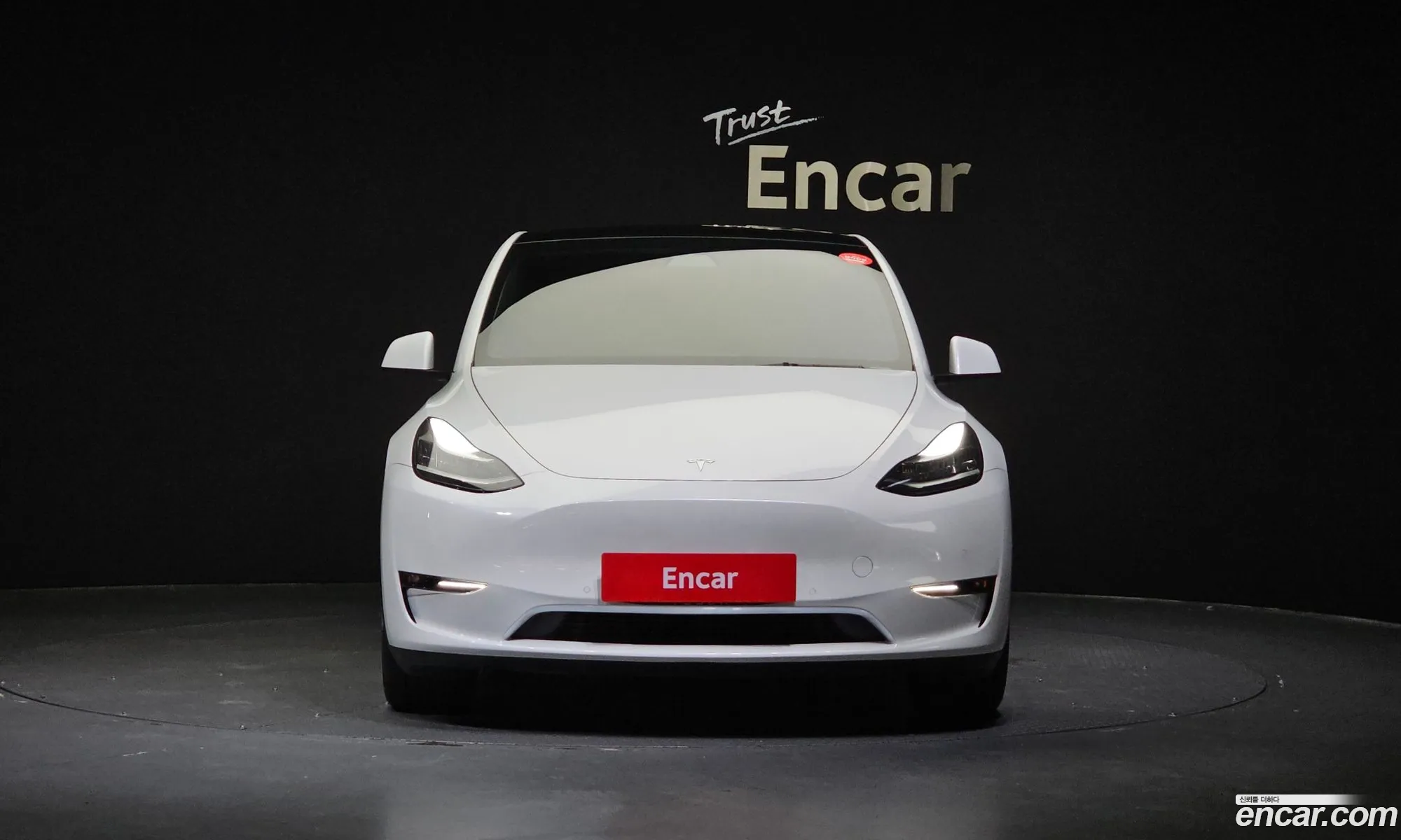 Tesla Model Y I Long Range 2021 - фотография 3514630