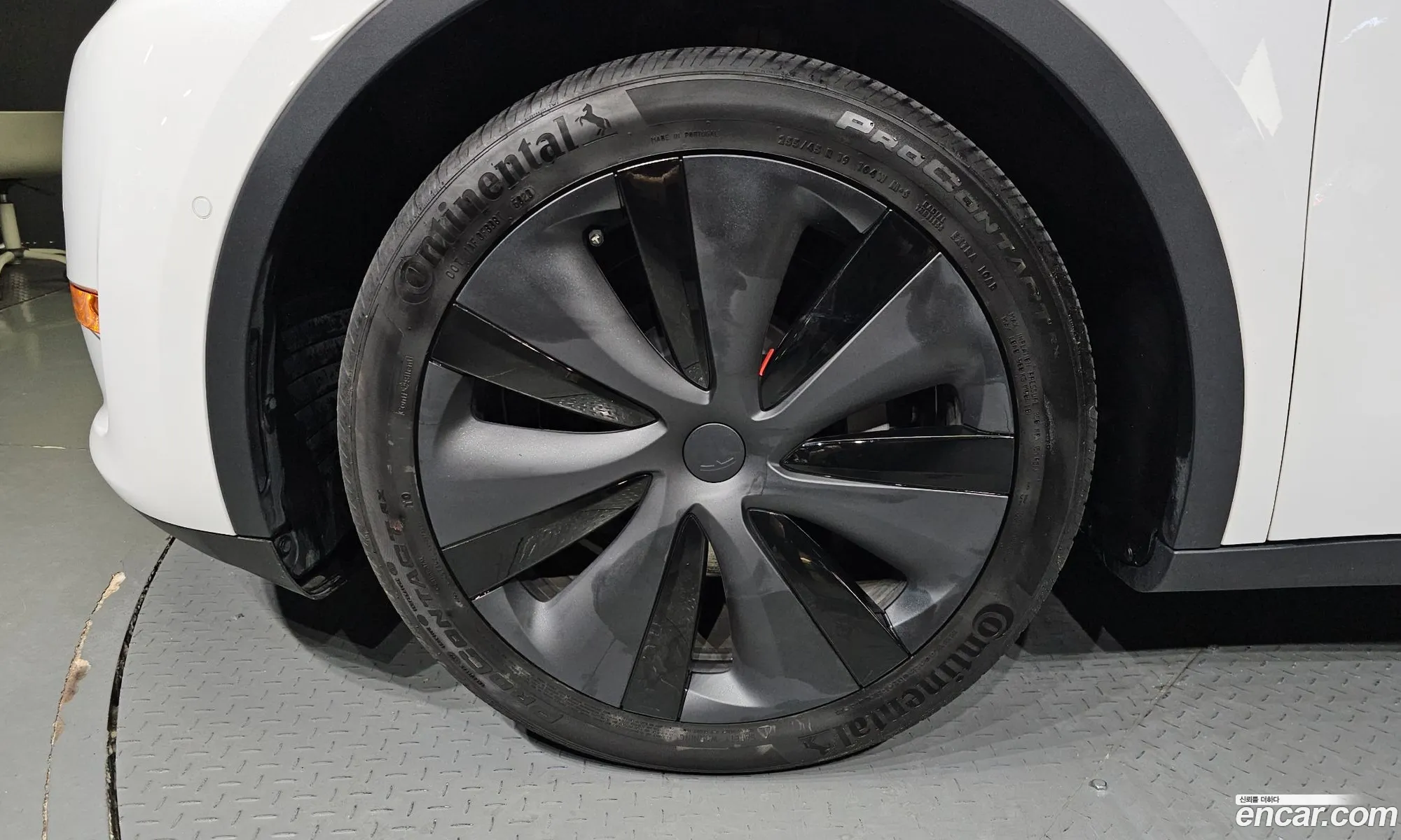 Tesla Model Y I Long Range 2021 - фотография 3514632