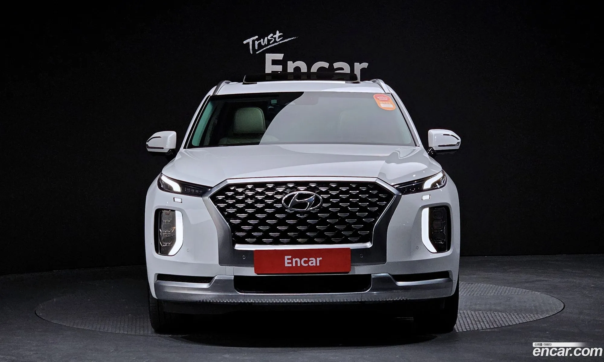 Hyundai Palisade I Gasoline 38 4Wd 2021 - фотография 11746176