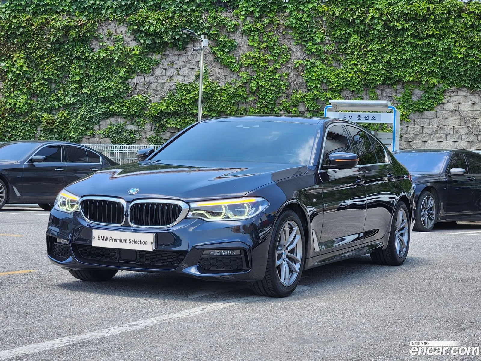 BMW 5Er Vii G30G31 520D M Sport Plus 2019 - фотография 15083313