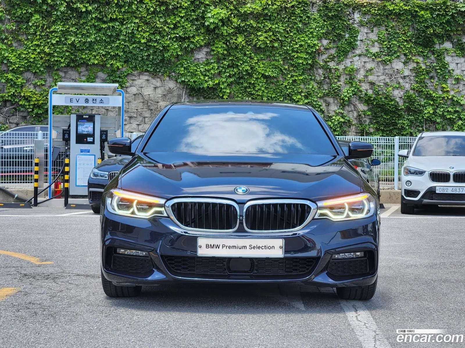 BMW 5Er Vii G30G31 520D M Sport Plus 2019 - фотография 15083315