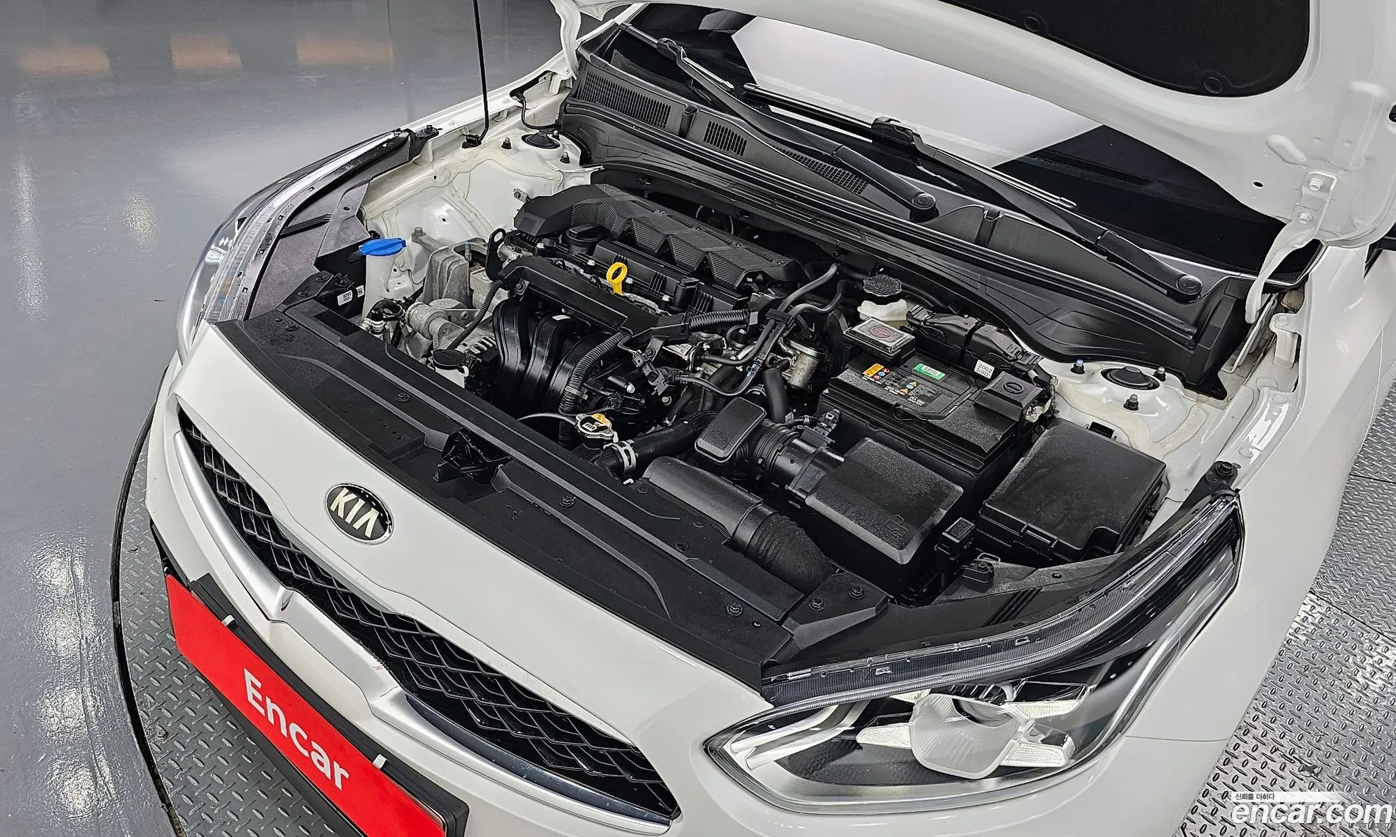 Kia K3 Nobless 2019 - фотография 11408843