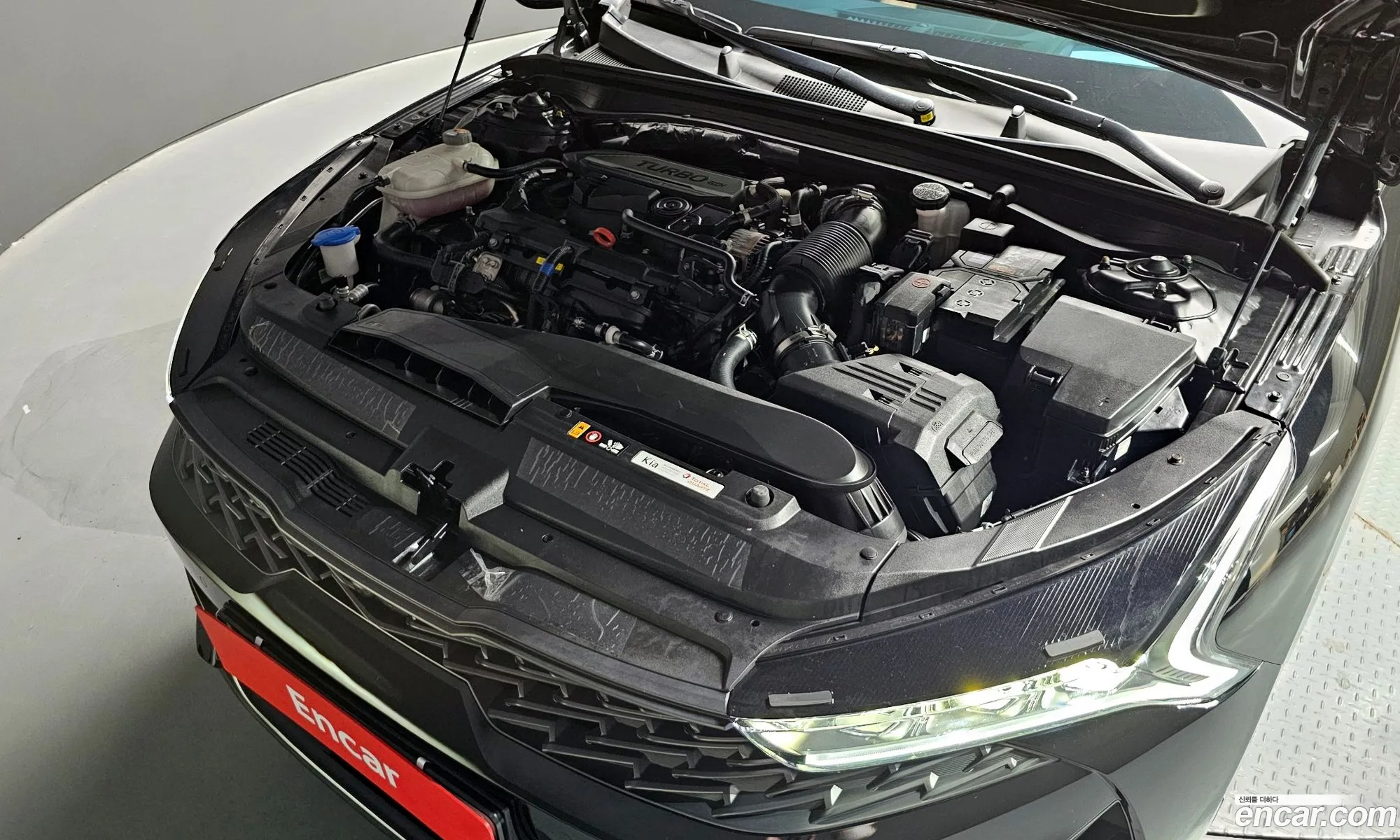 Kia K5 16 Turbo 2023 - фотография 19849278