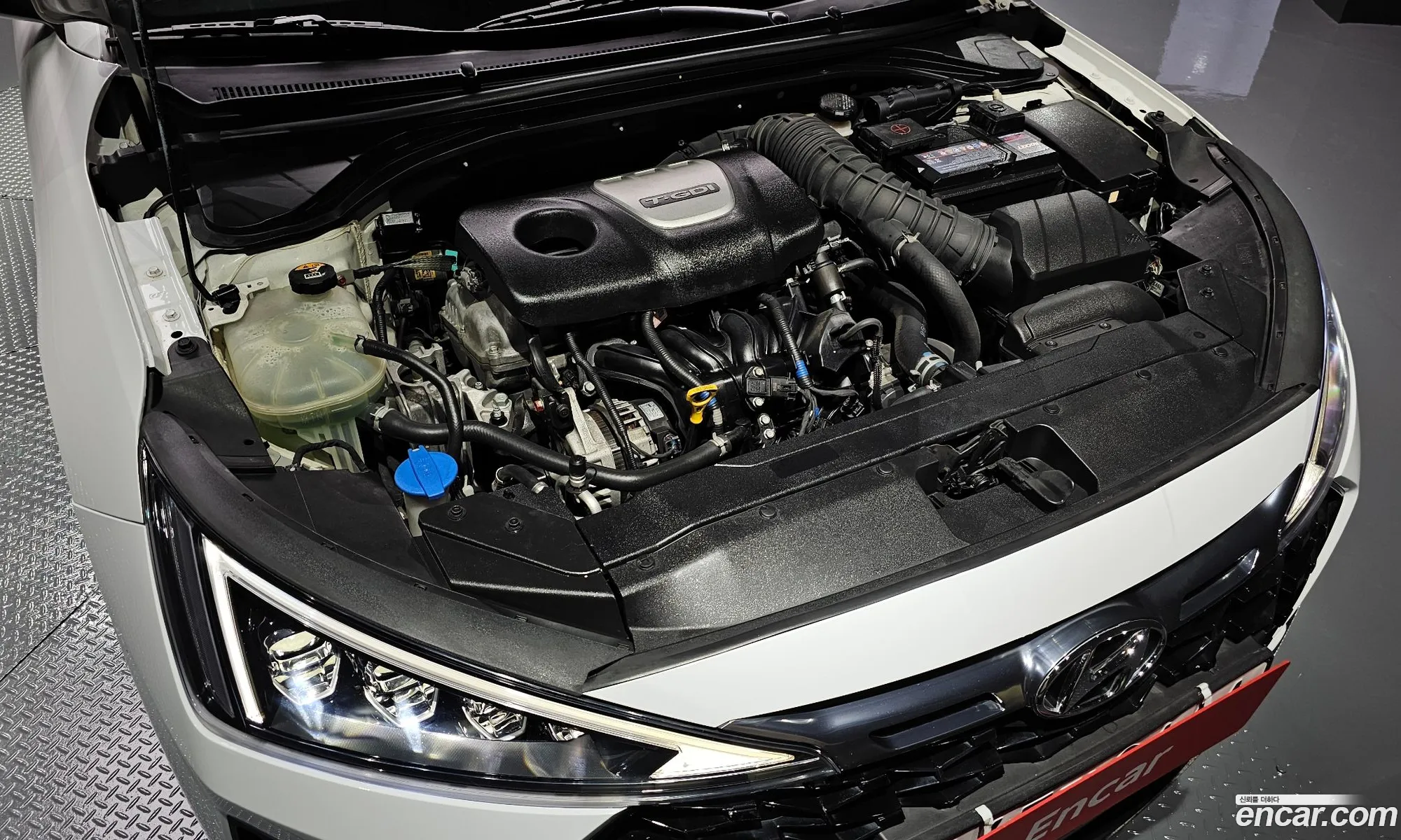 Korex Auto Trade - фотография 12242496